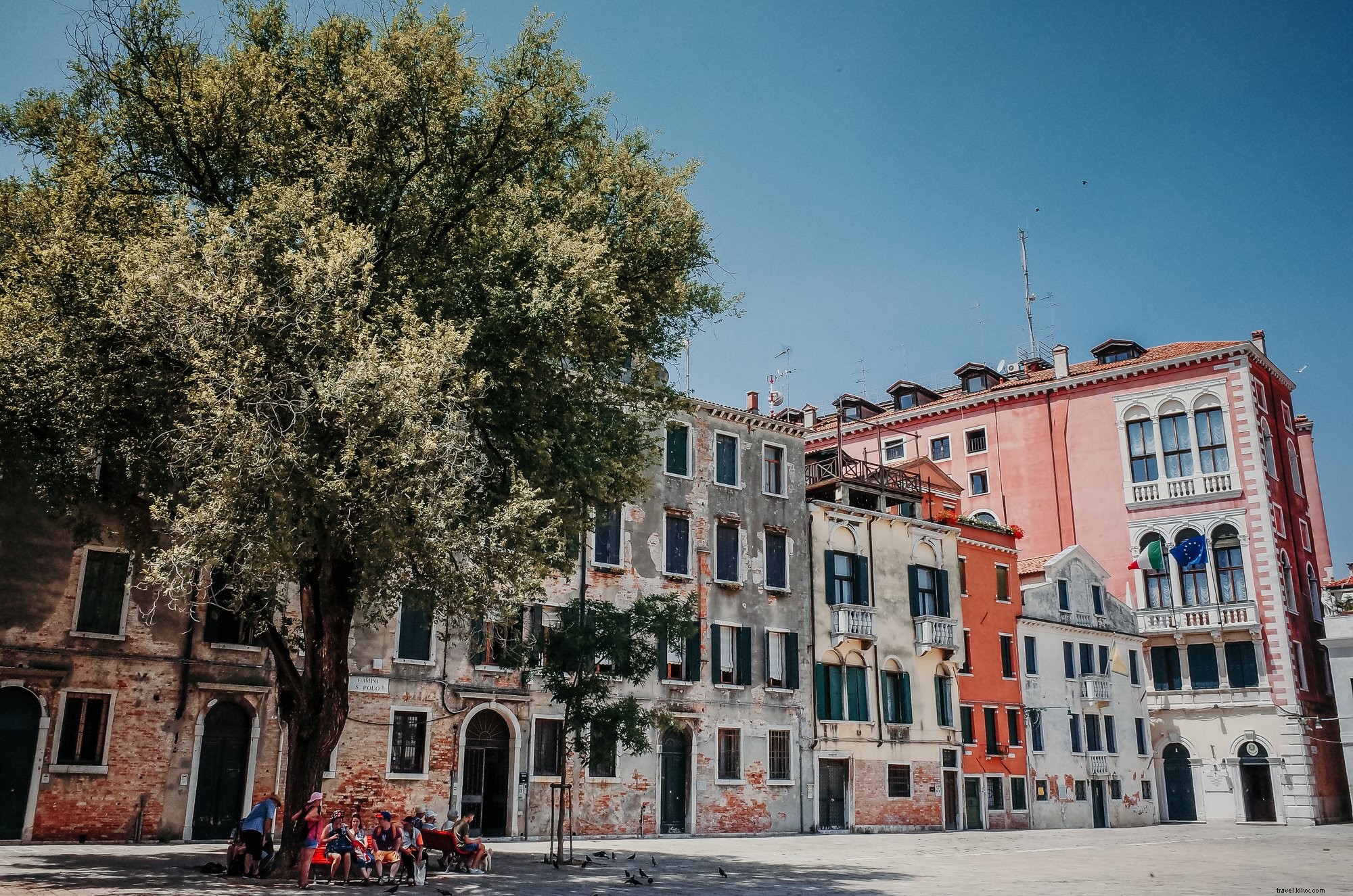 Serene Street Scene: People Relaxing on a Bench Under a Lush Tree