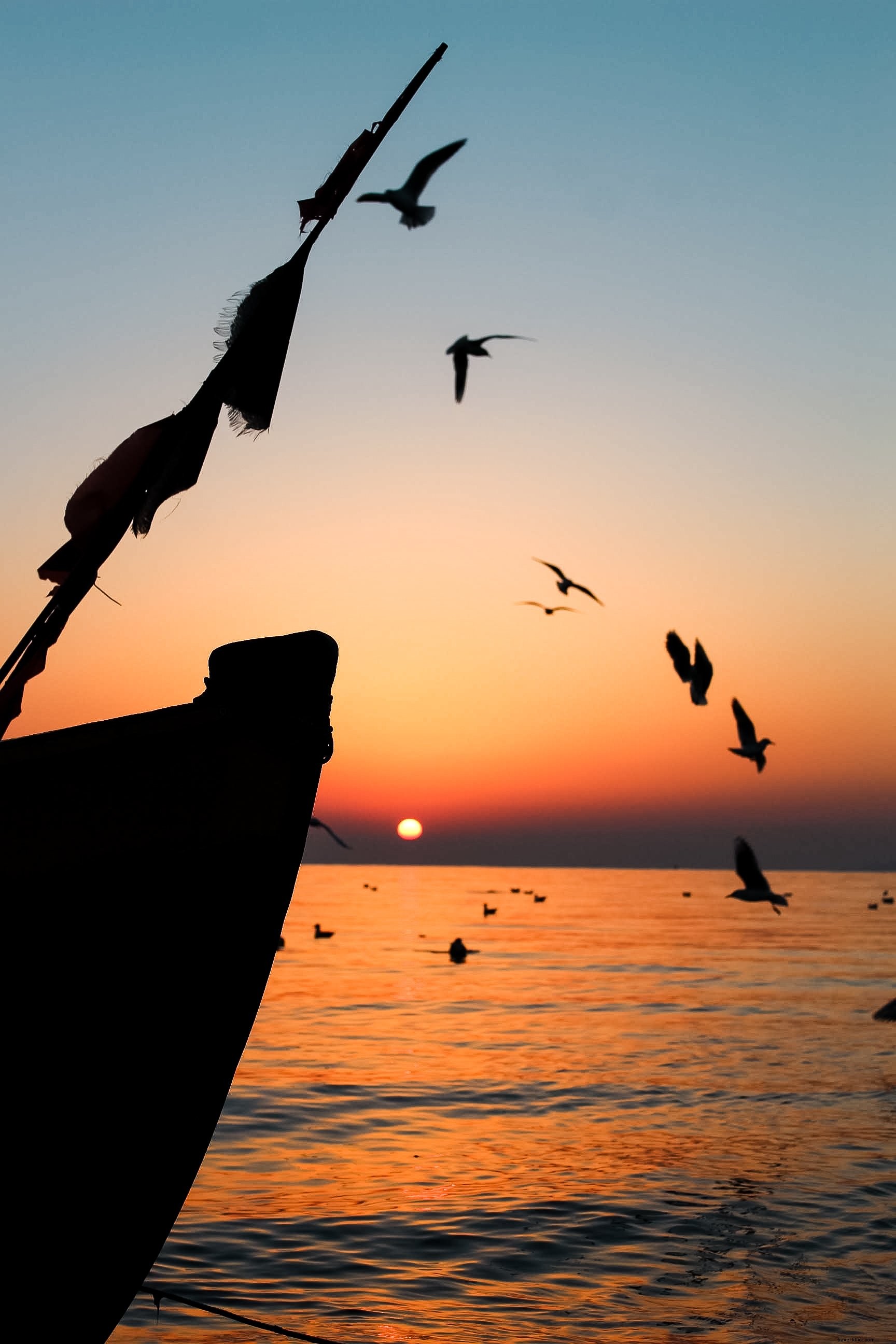 Stunning Birds and Boats at Sunrise – Captivating Nature Photo