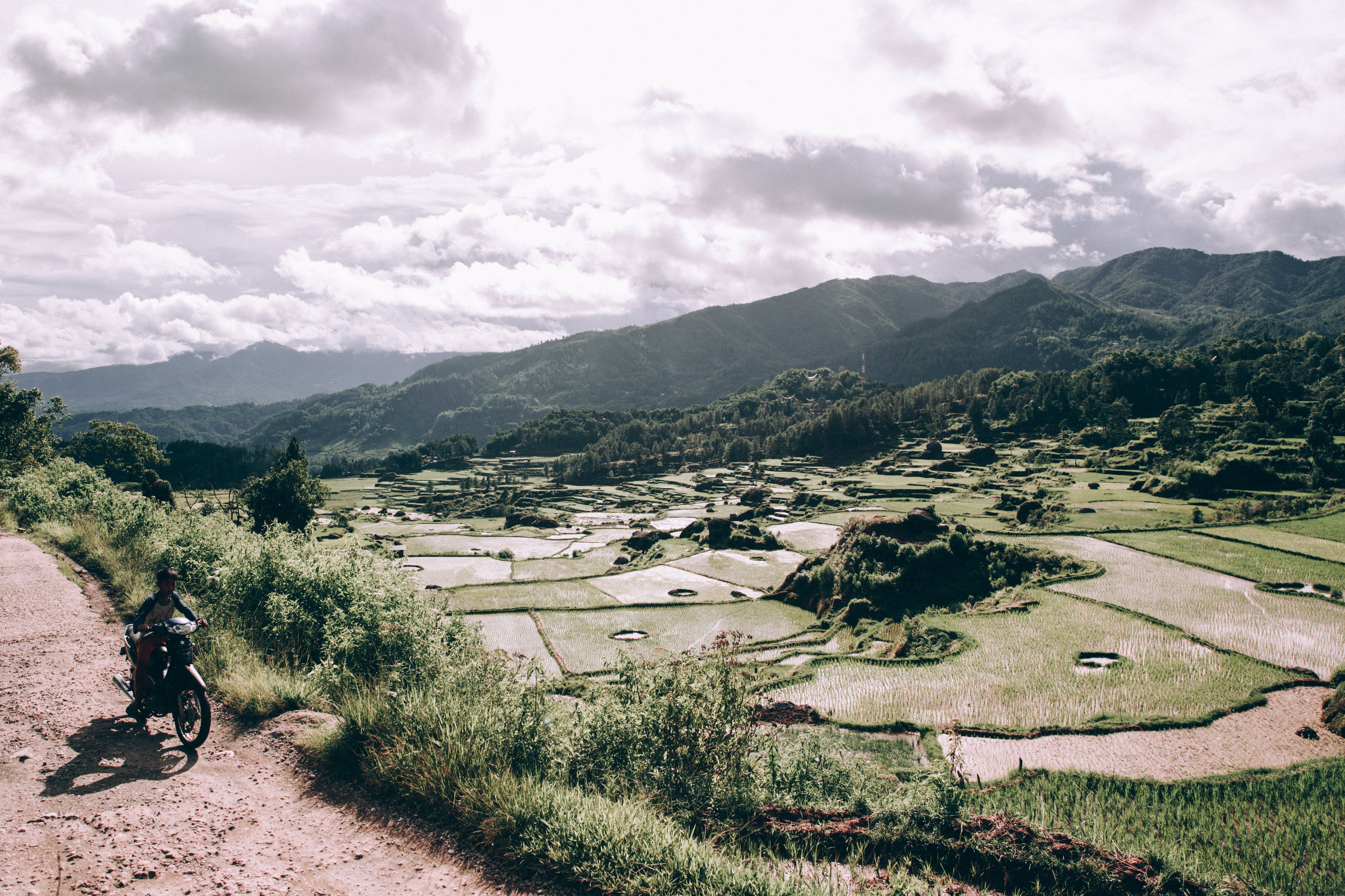 Stunning Sunlit Indonesian Valley Rice Paddies – Breathtaking Scenic Photo