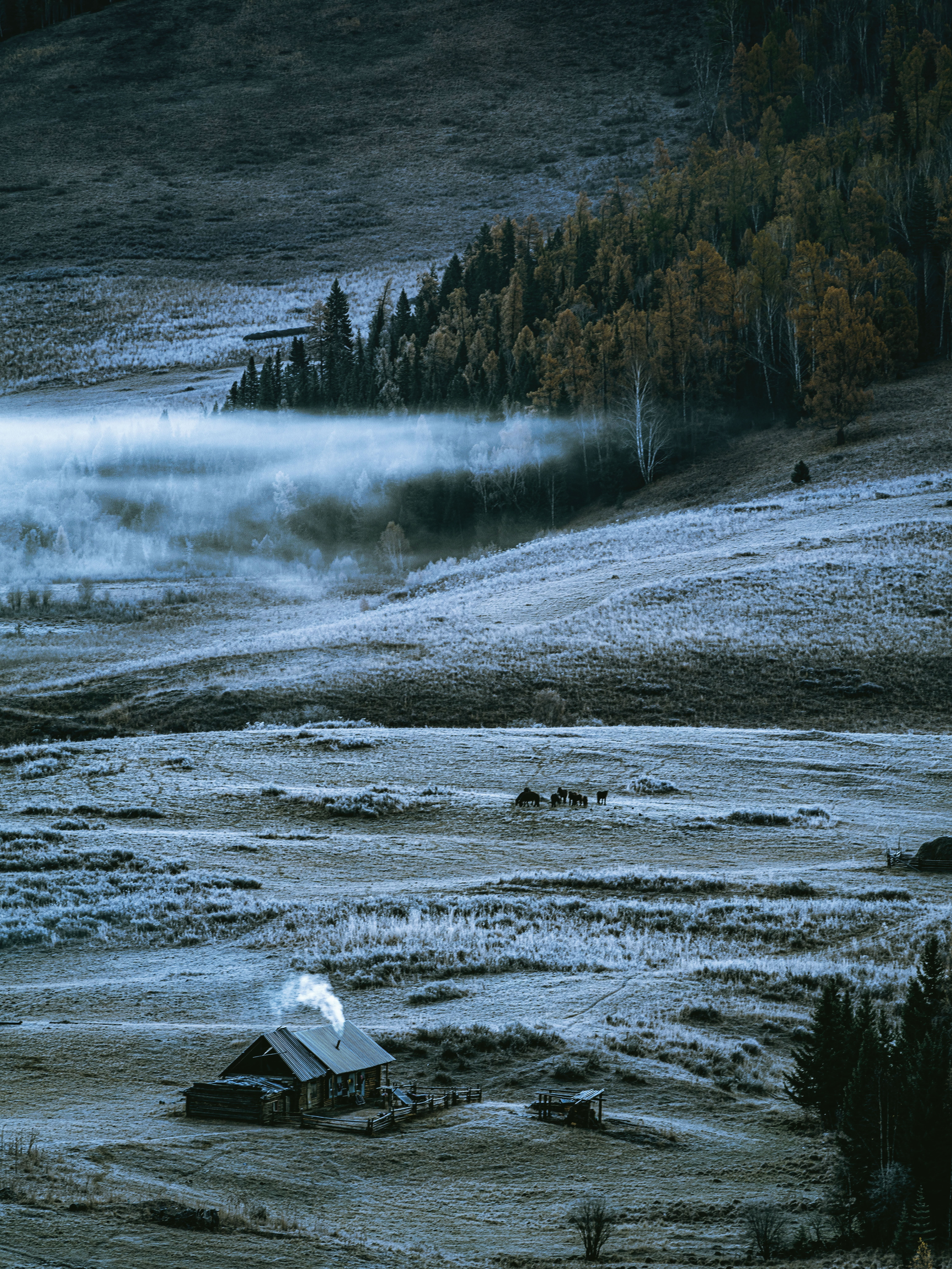 Stunning Photo: Cozy Small Home on Frost-Covered Hill