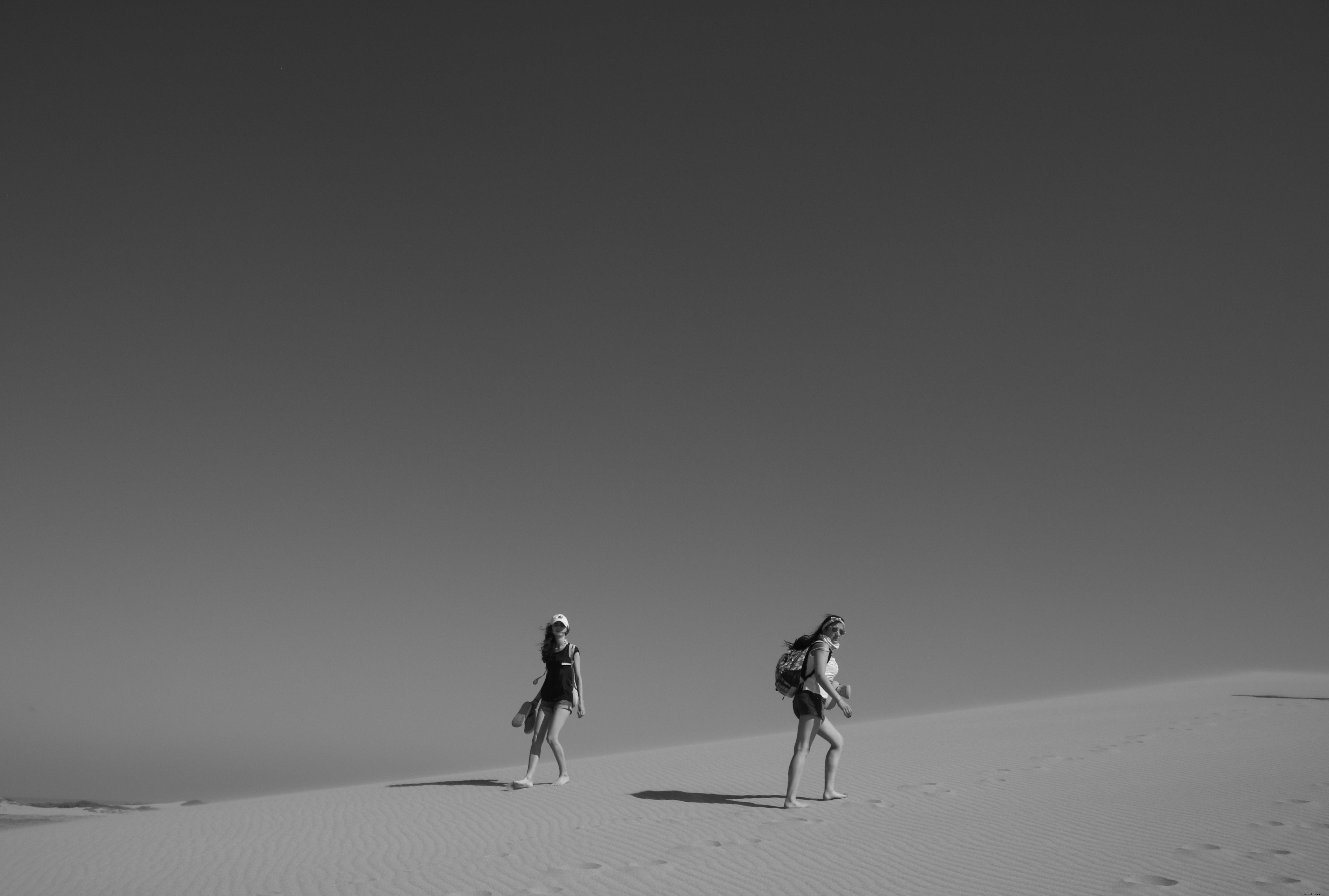 Stunning Black and White Photo: People Trekking Through the Vast Desert