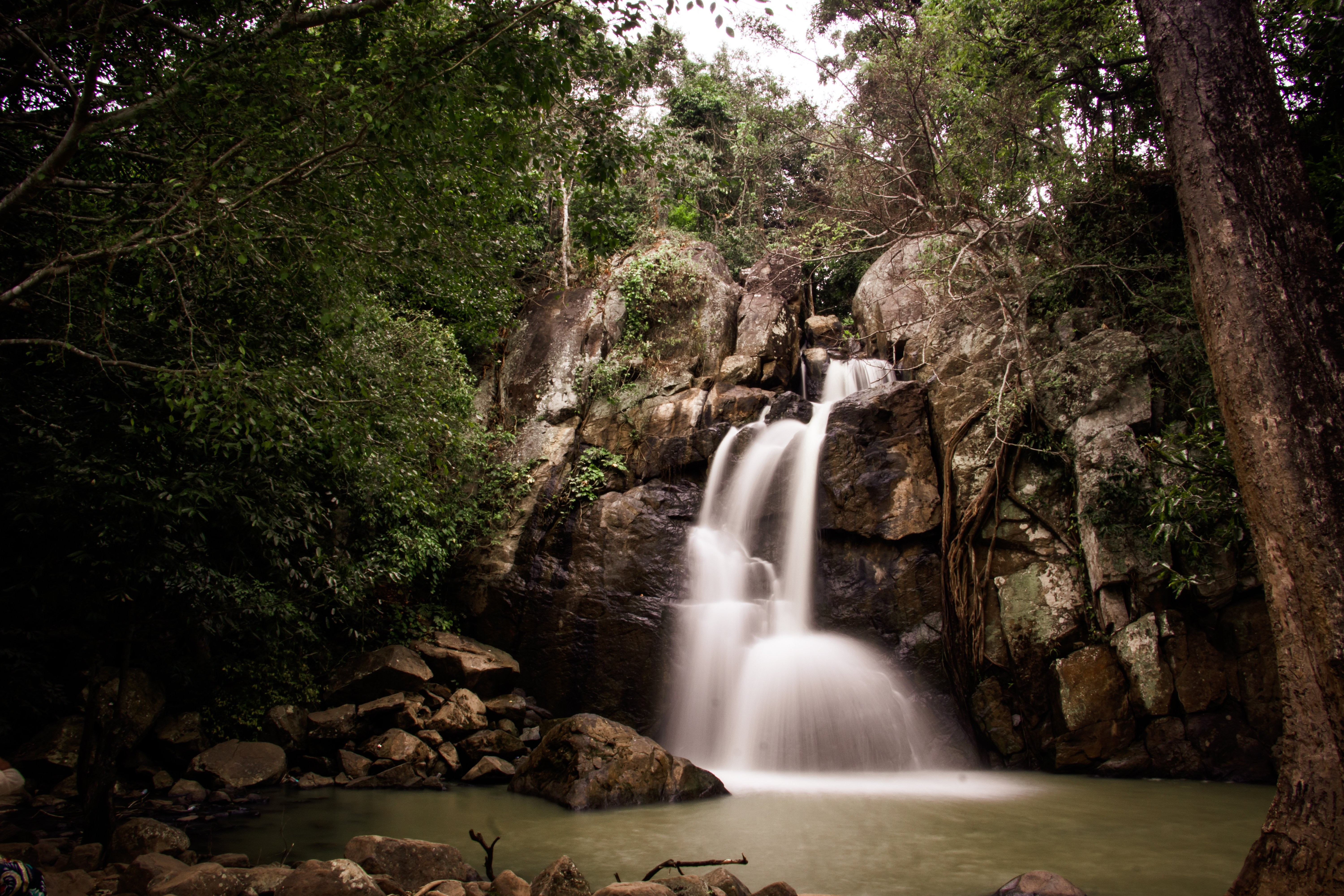 Stunning Waterfall Cascading into Still Waters Amid Lush Forest