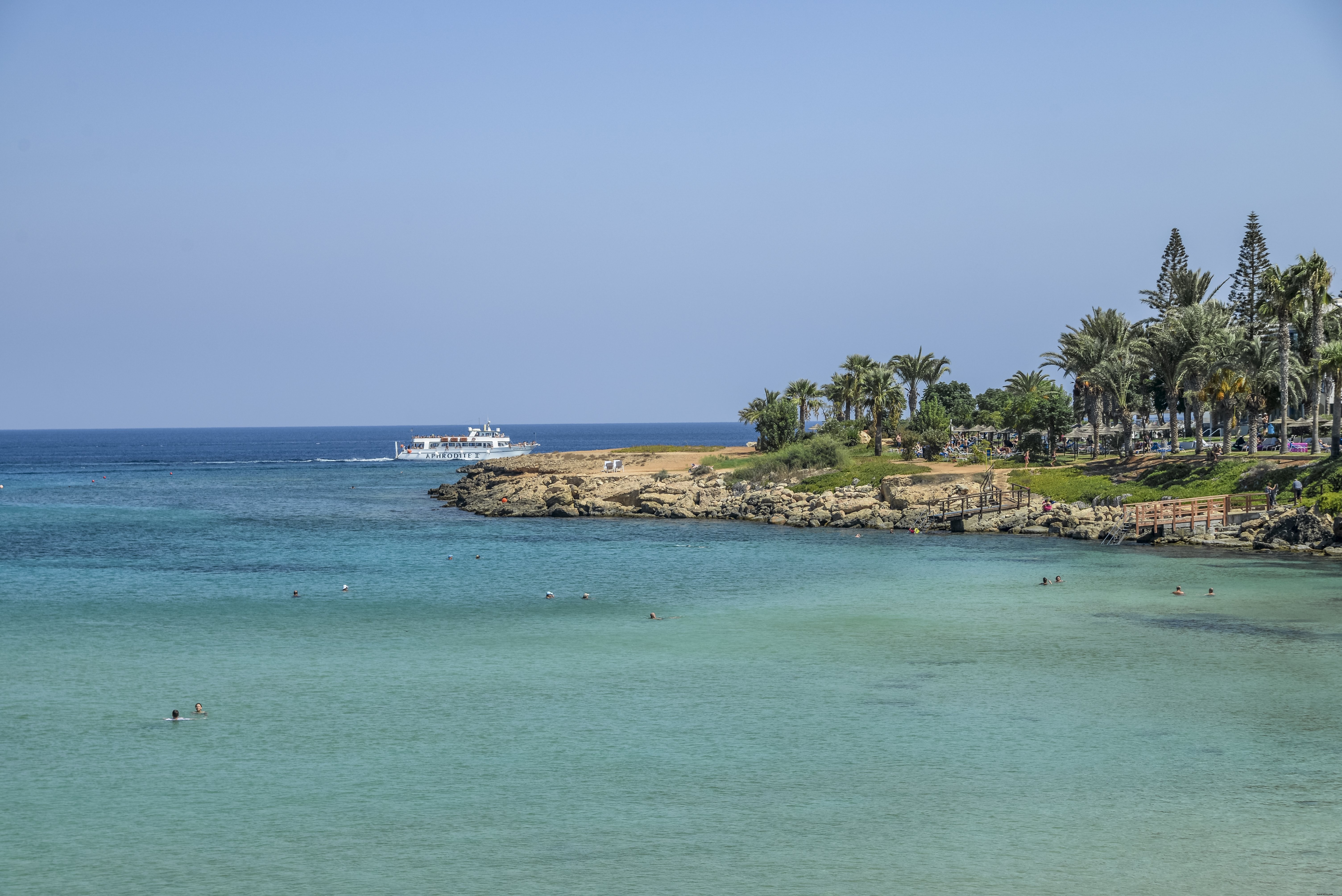 Stunning Tropical Photo: Palm Trees, Turquoise Waters & Rocky Shoreline