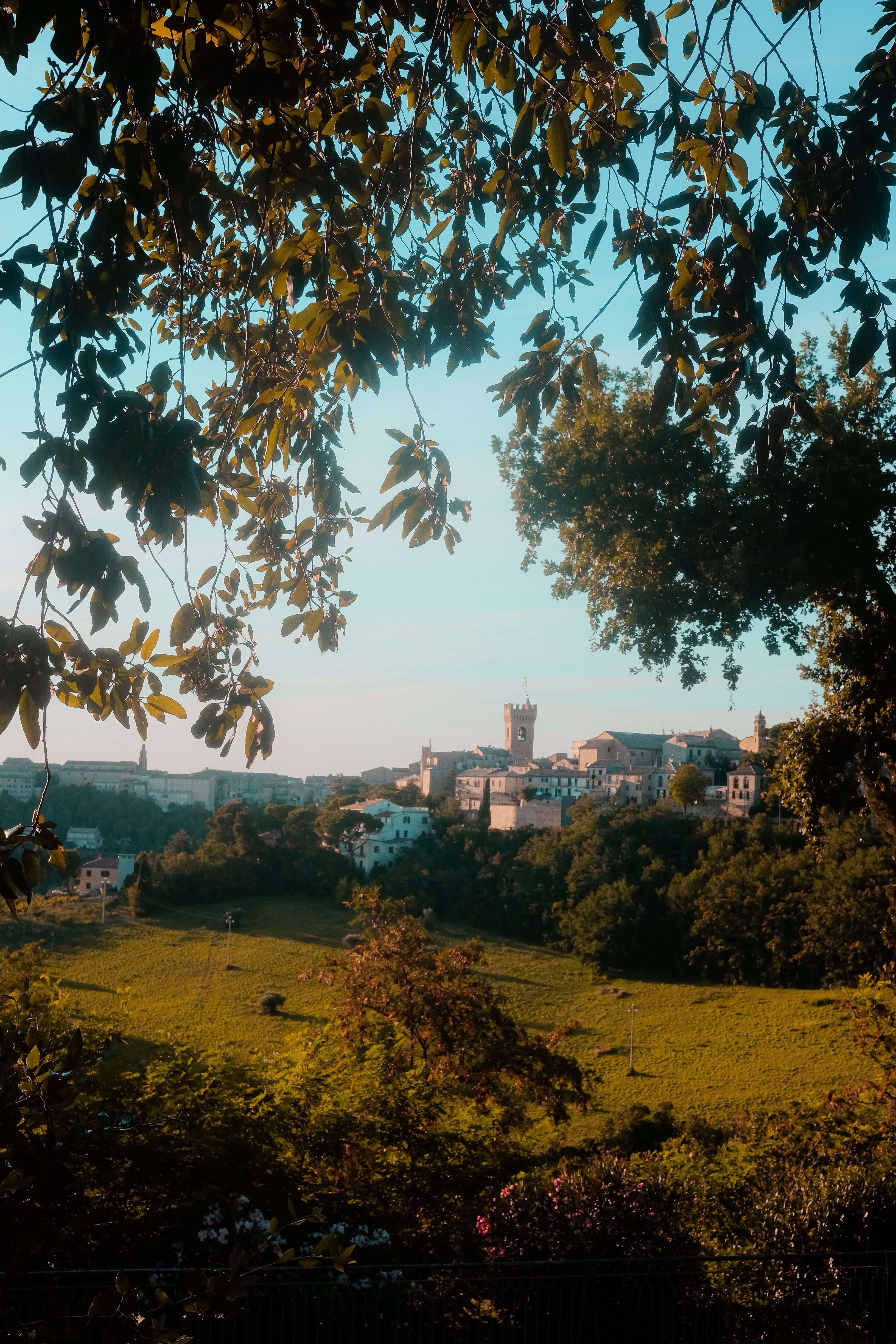 Majestic Castle Framed by Lush Green Leaves – Stunning Landscape Photo