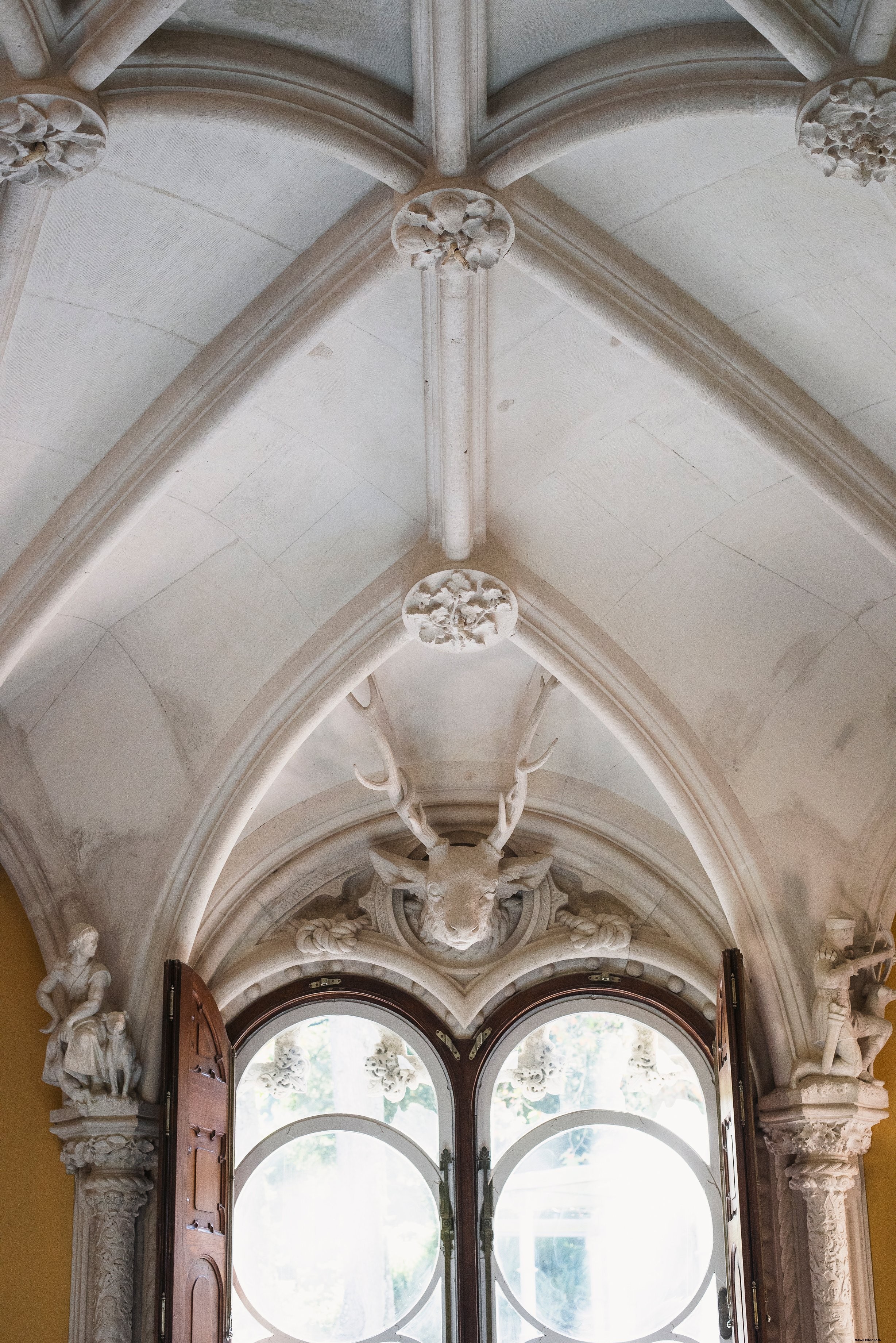 Exquisite Sculpted Ceiling Above Ornate Windows – Stunning Architectural Photo