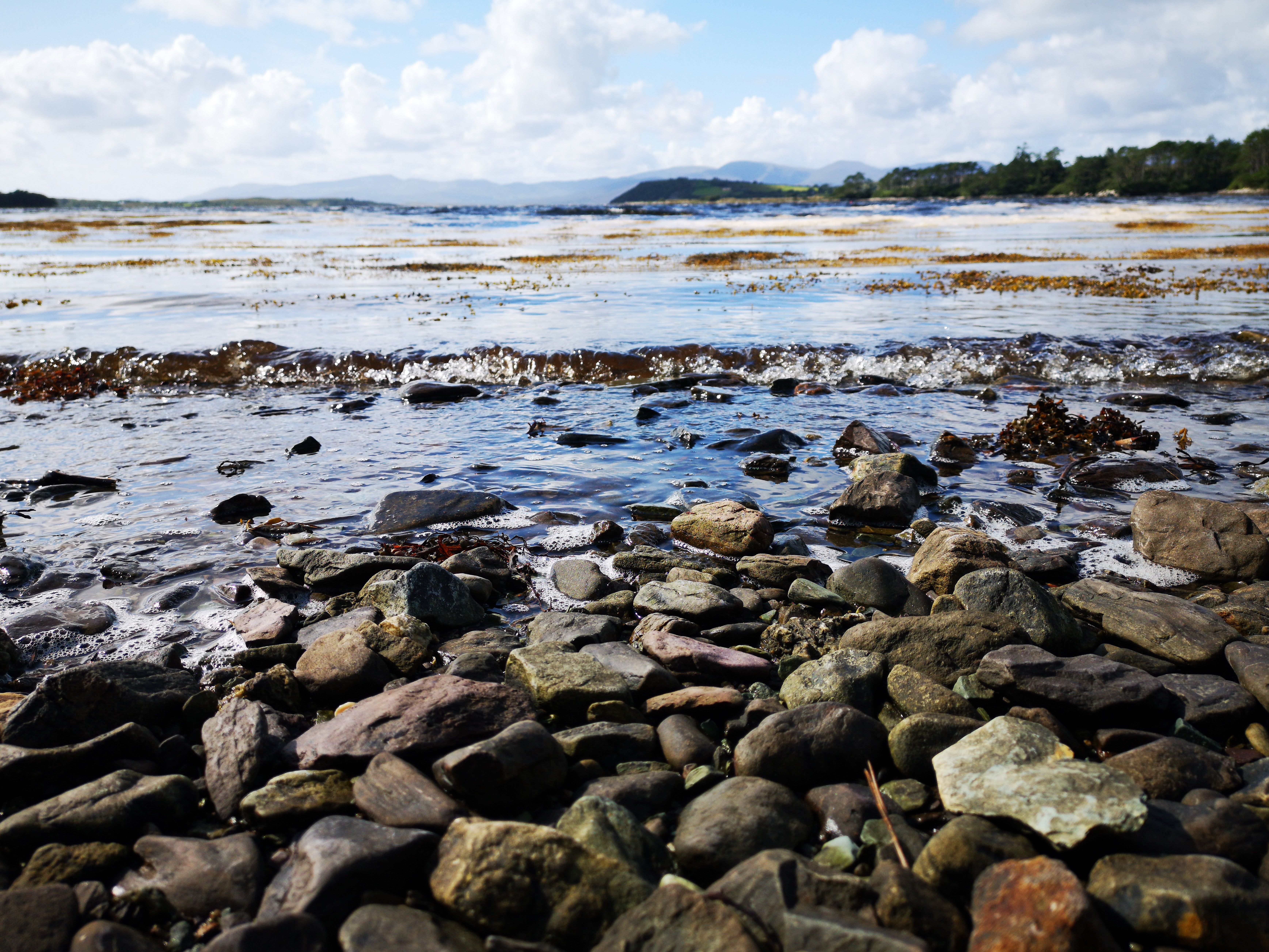 Stunning Waves Bubbling Over Riverbank Stones: Captivating Nature Photo