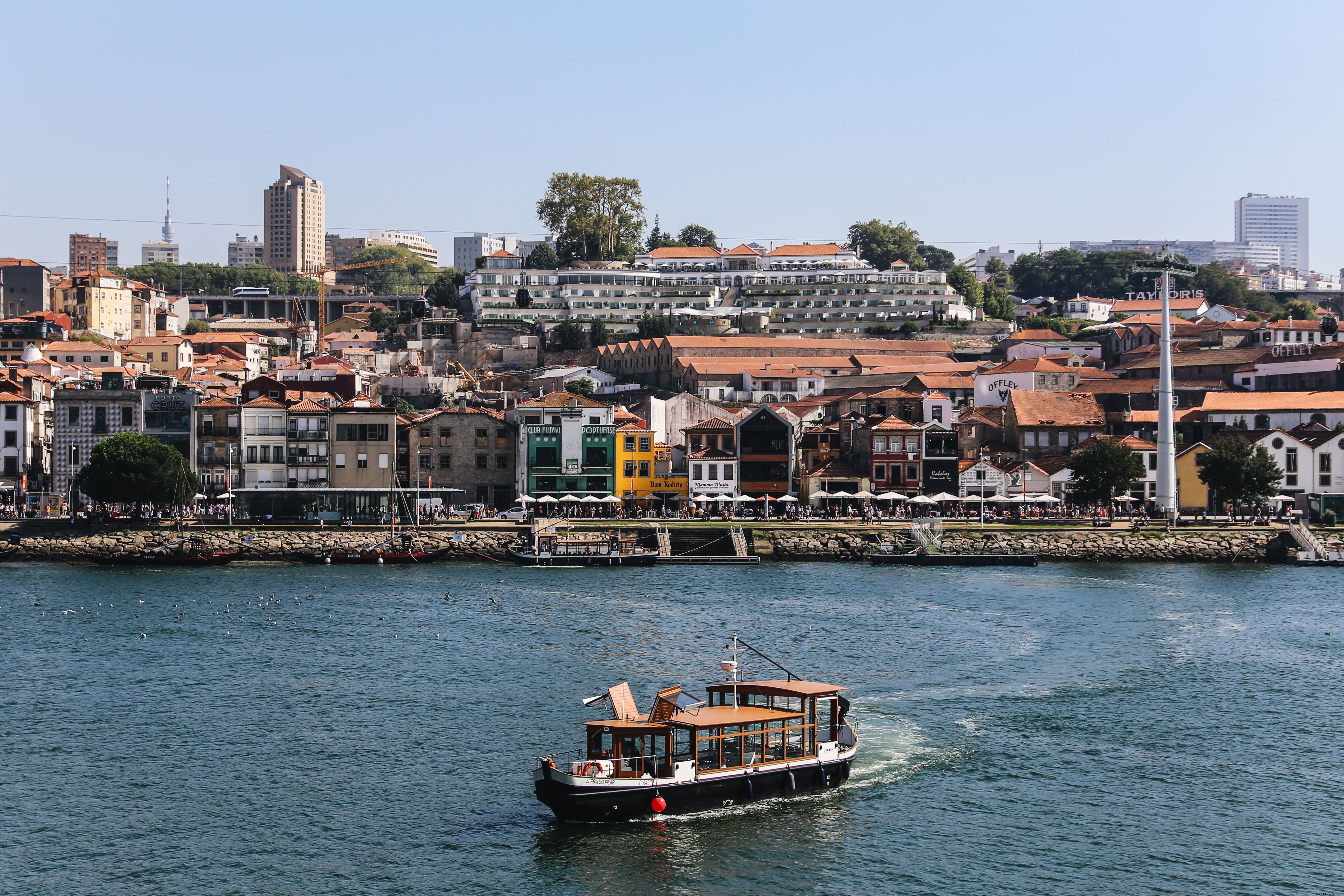 Stunning Photo of a Traditional Wooden Boat in Portugal