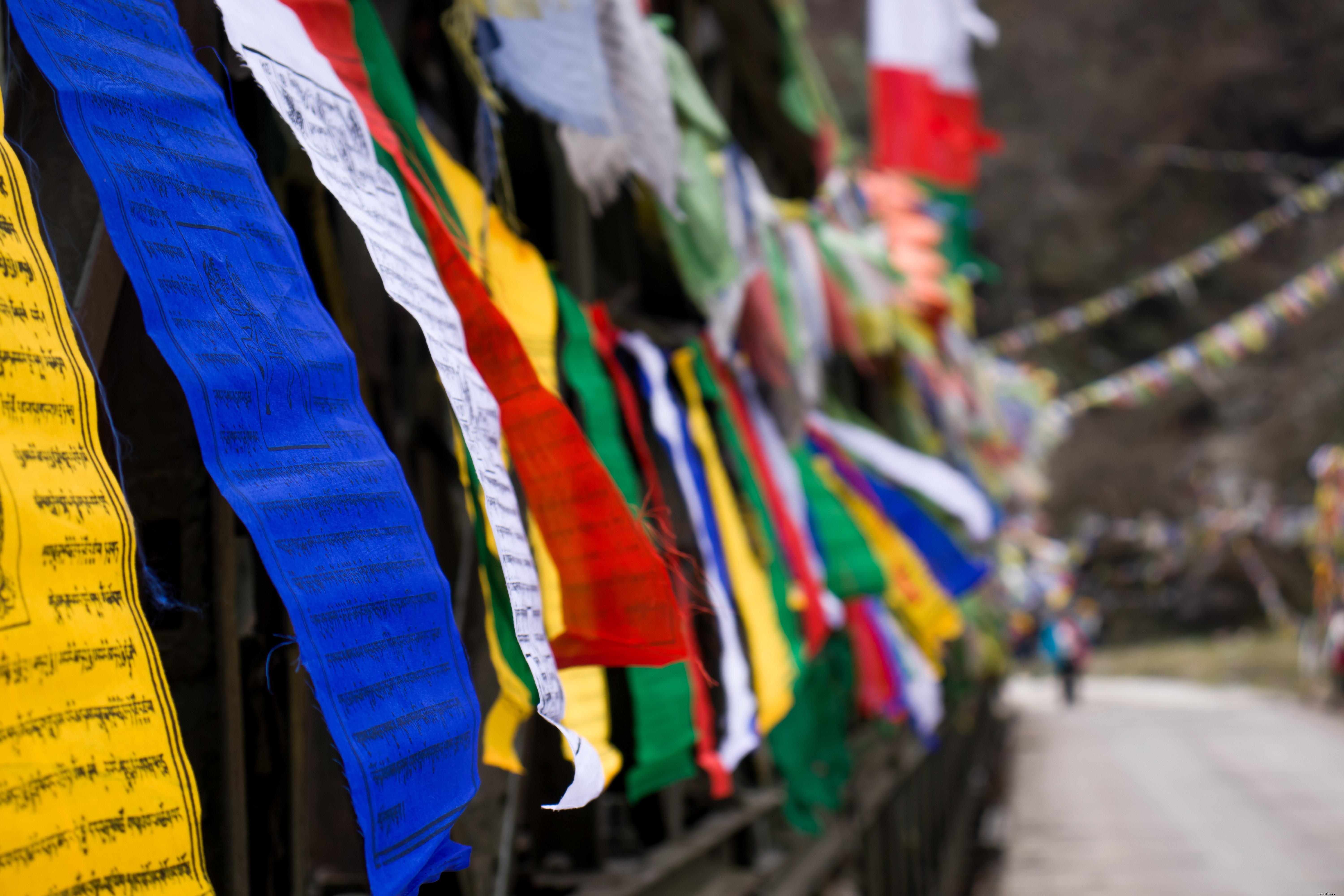 Vibrant Colorful Flags Lining a Fence – Stunning Photo