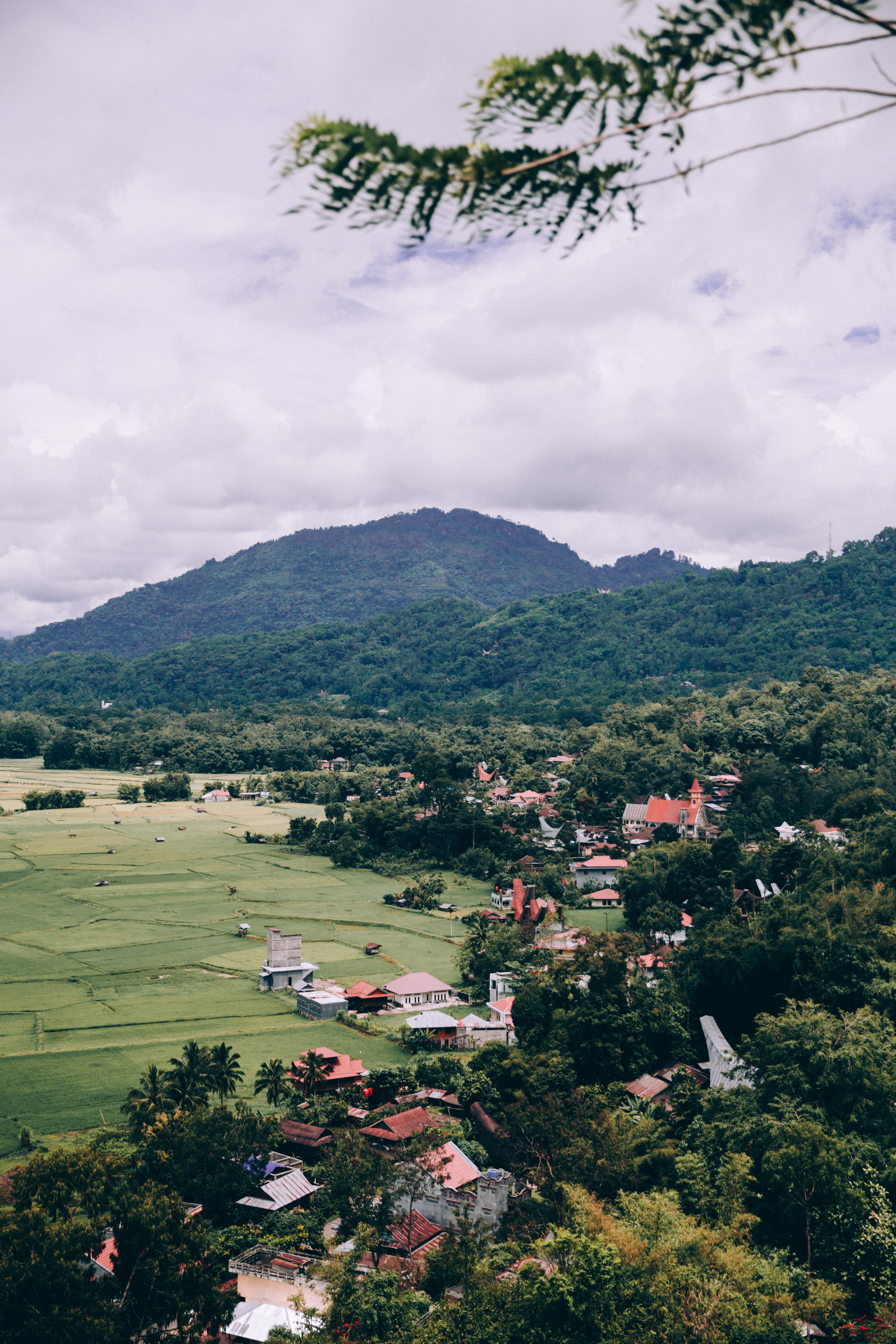Stunning Aerial View: Red Rooftops of Jungle Community Amidst Lush Greenery