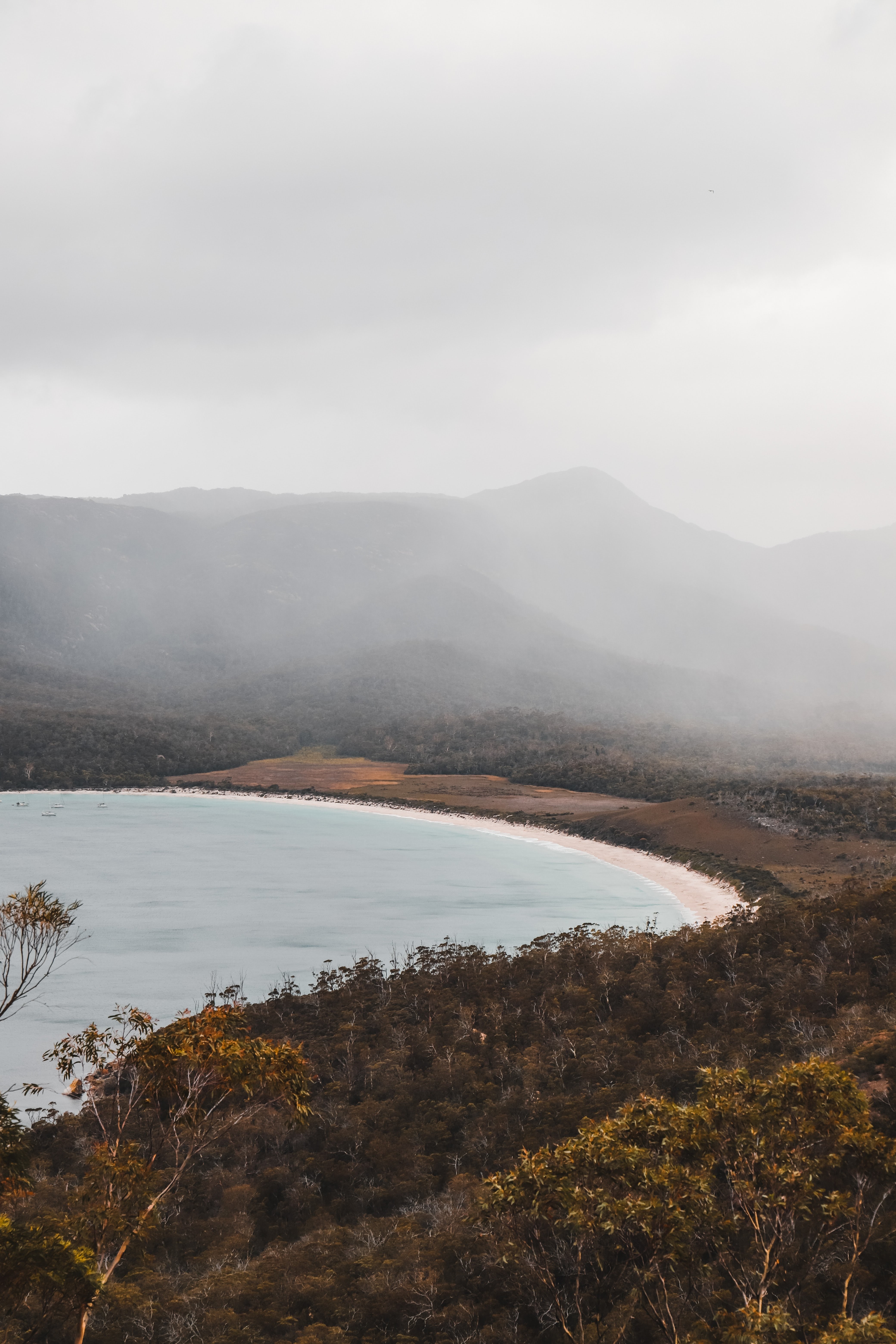 Serene Sandy Beach Surrounded by Lush Green Trees on a Misty Day – Stunning Photo