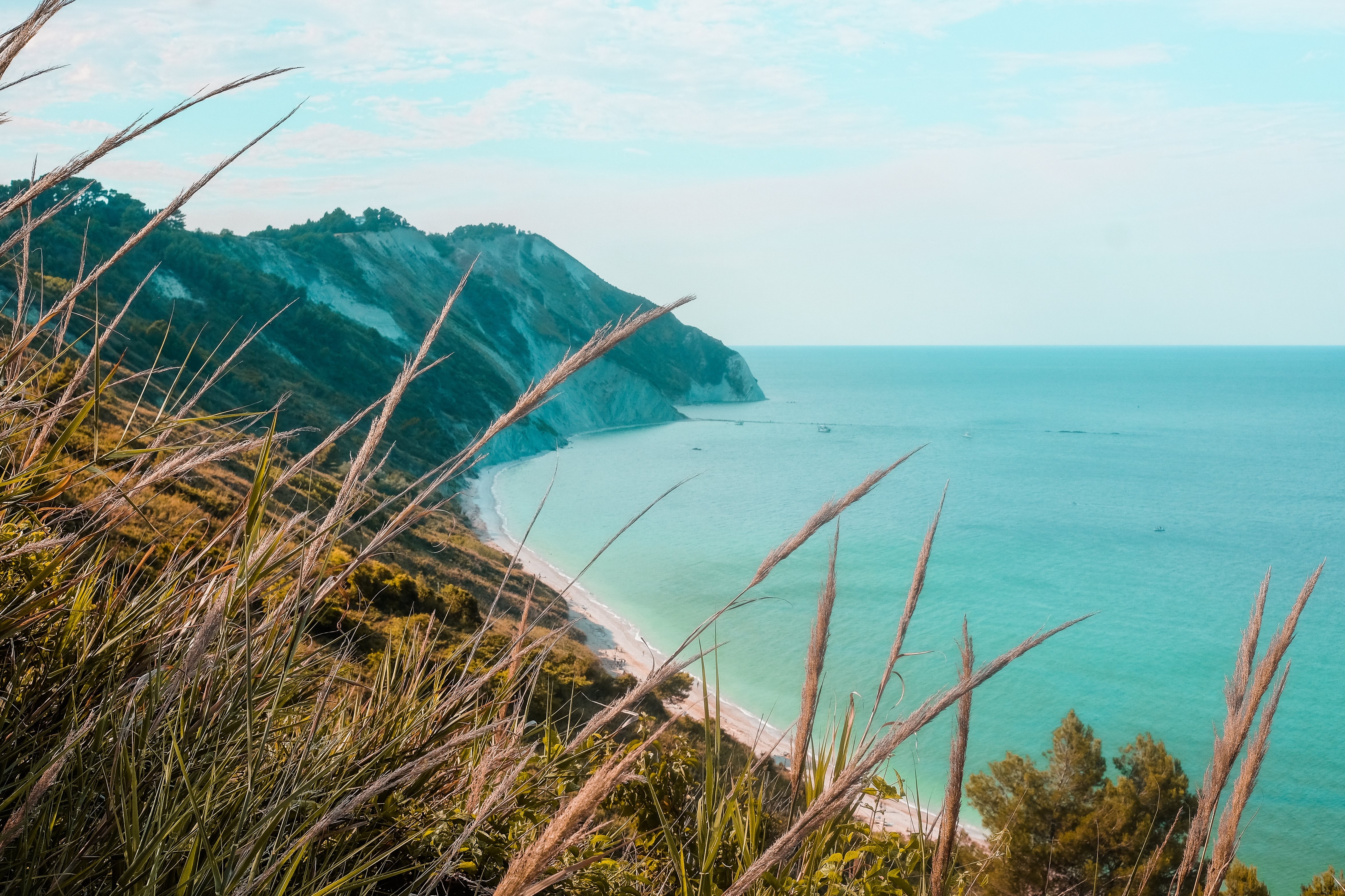 Stunning Photograph of Wild Grass on the Ocean Coastal Range