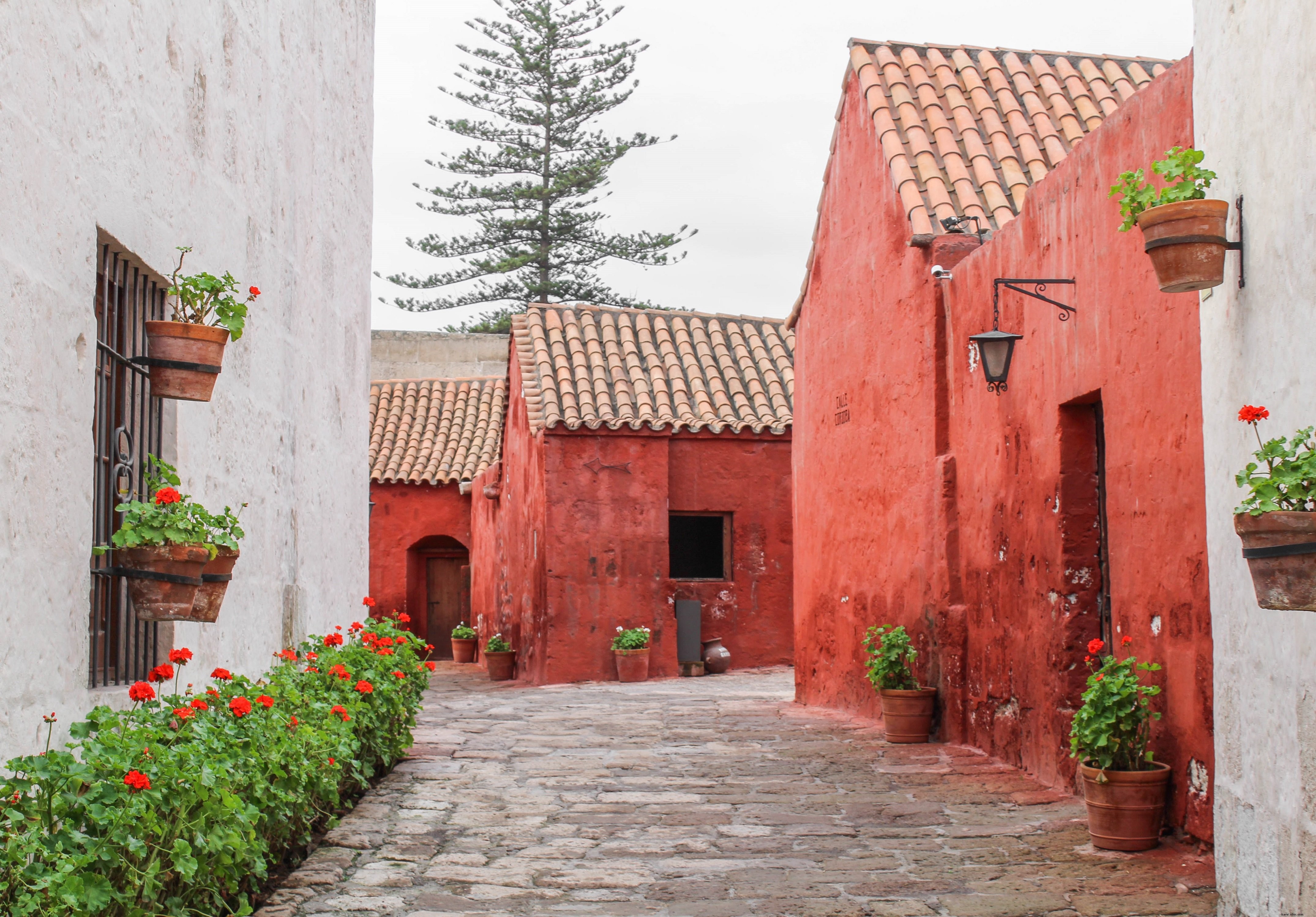 Vibrant Orange Buildings with Terracotta Roofs: Stunning Architectural Photo