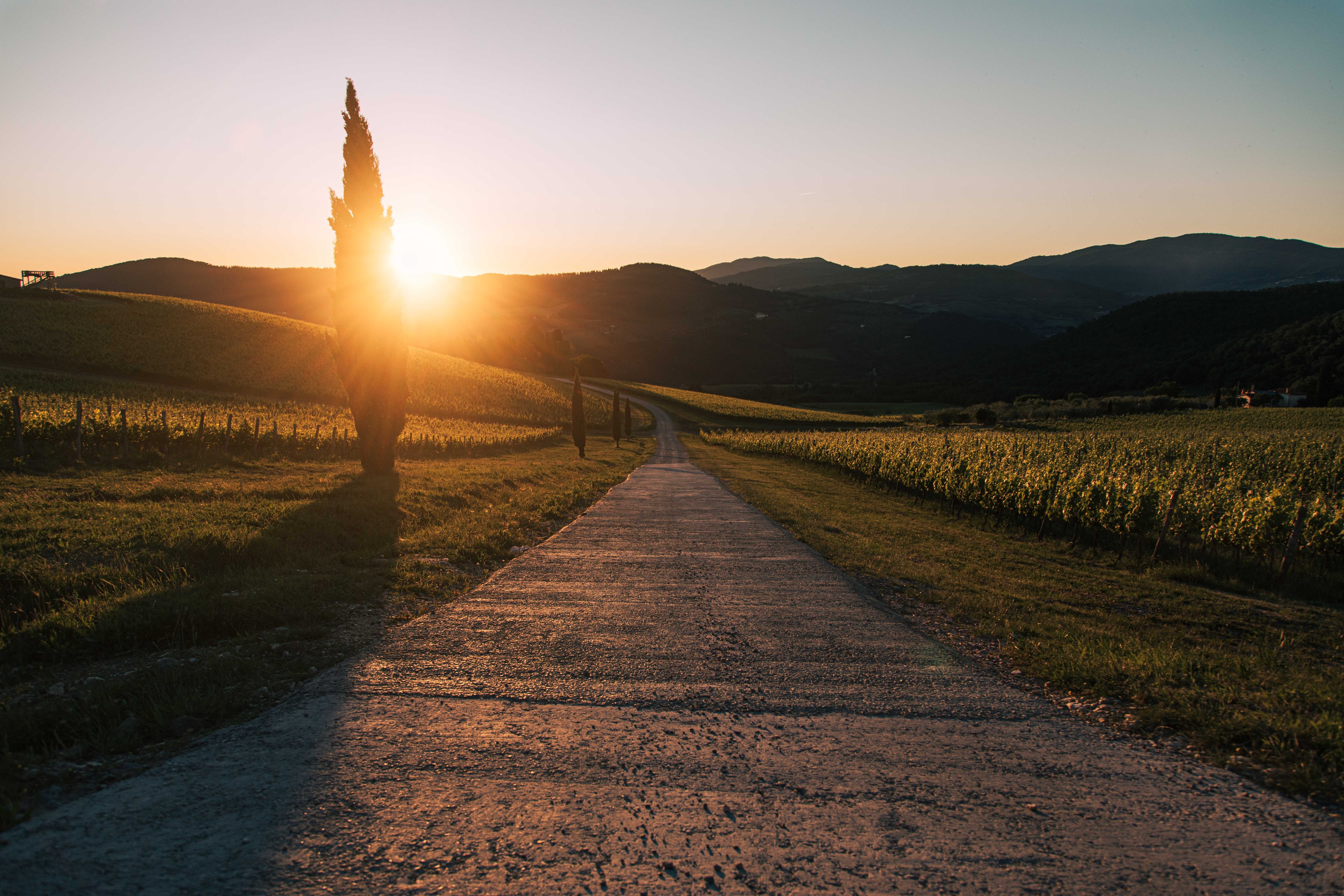 Breathtaking Mountain Road at Sunset: Stunning Landscape Photo