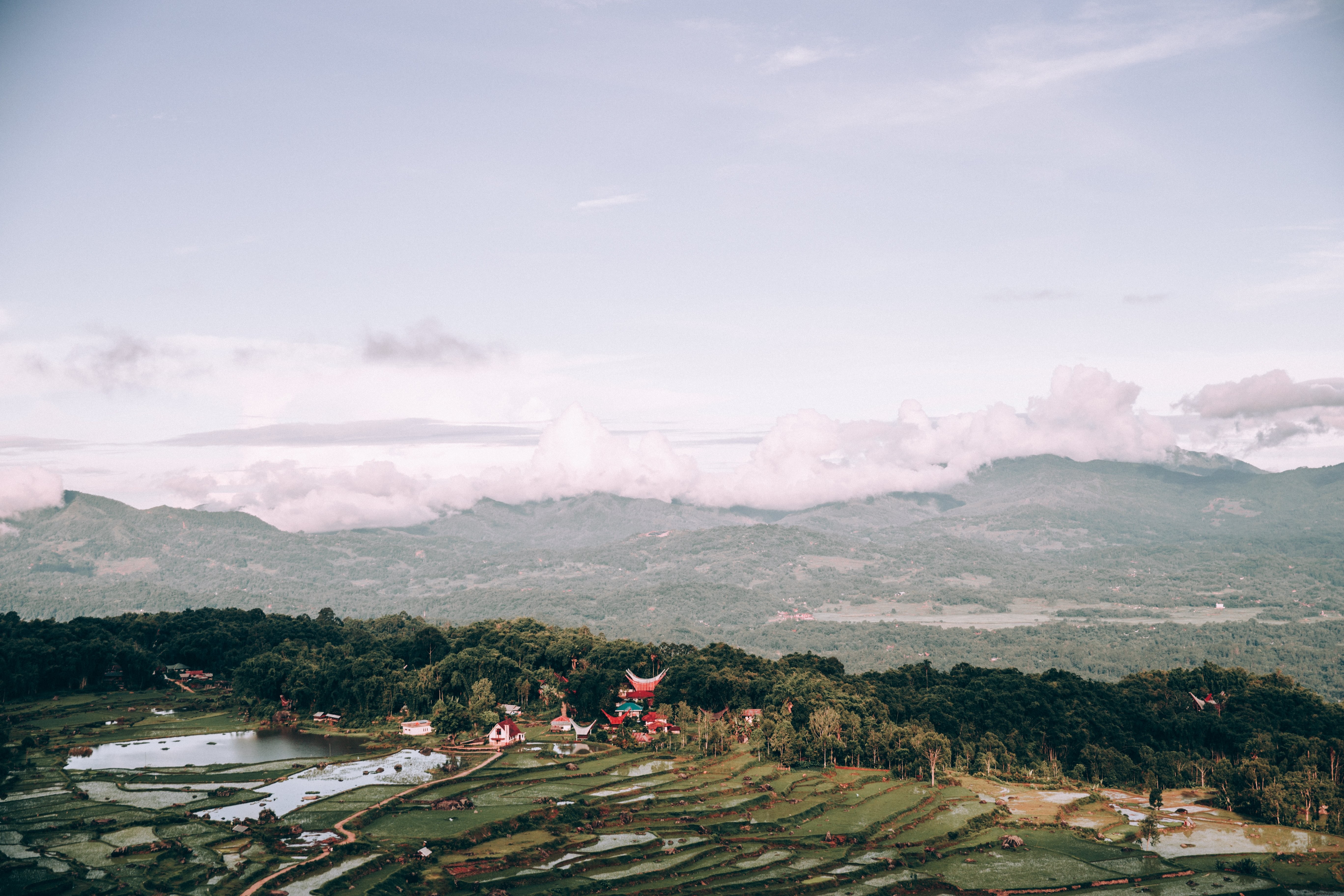 Stunning Indonesian Landscape: Rice Paddies and Ancient Temple Photo