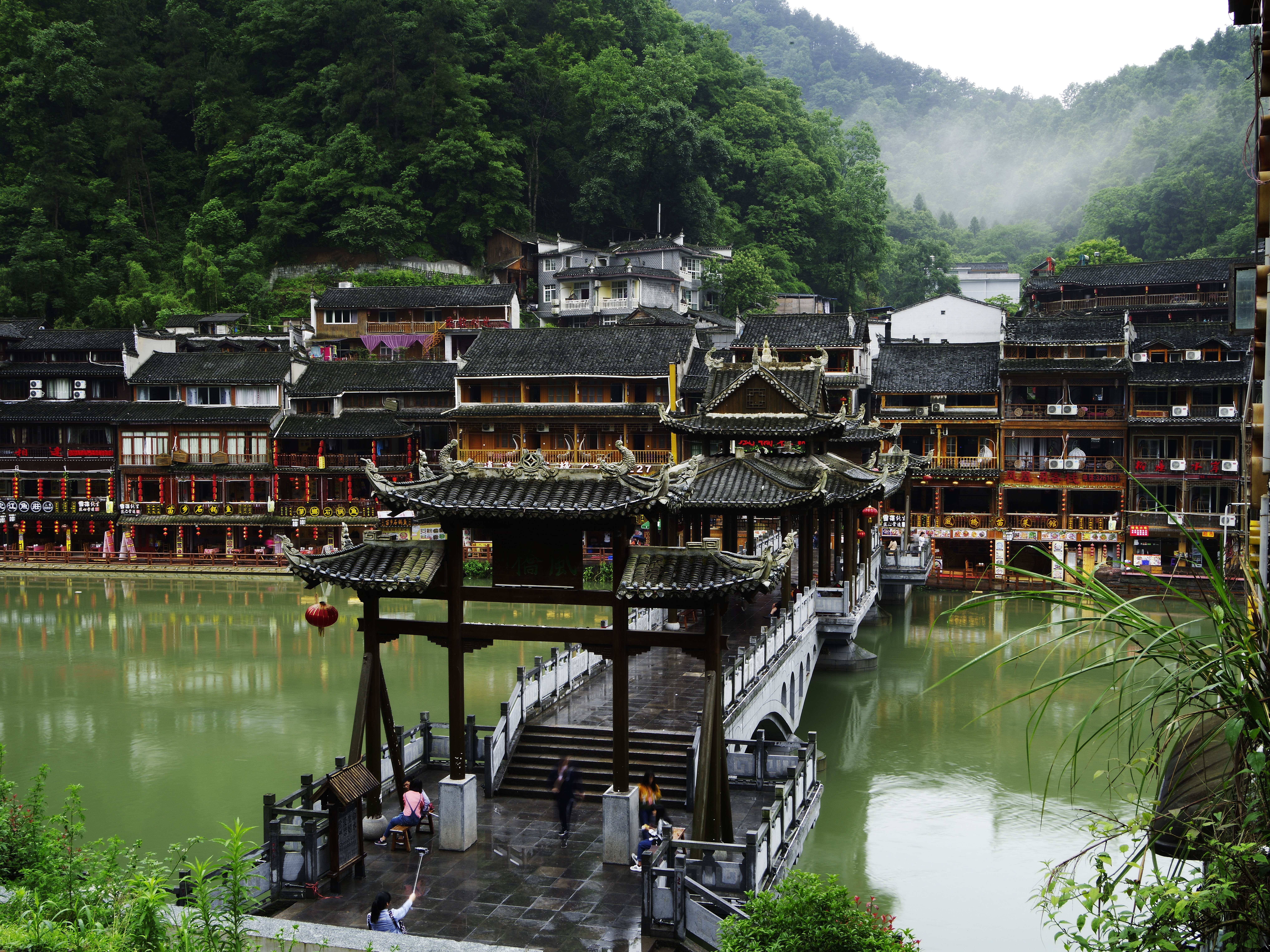 Stunning Lush Green Forest Overlooking a Charming Waterfront Town