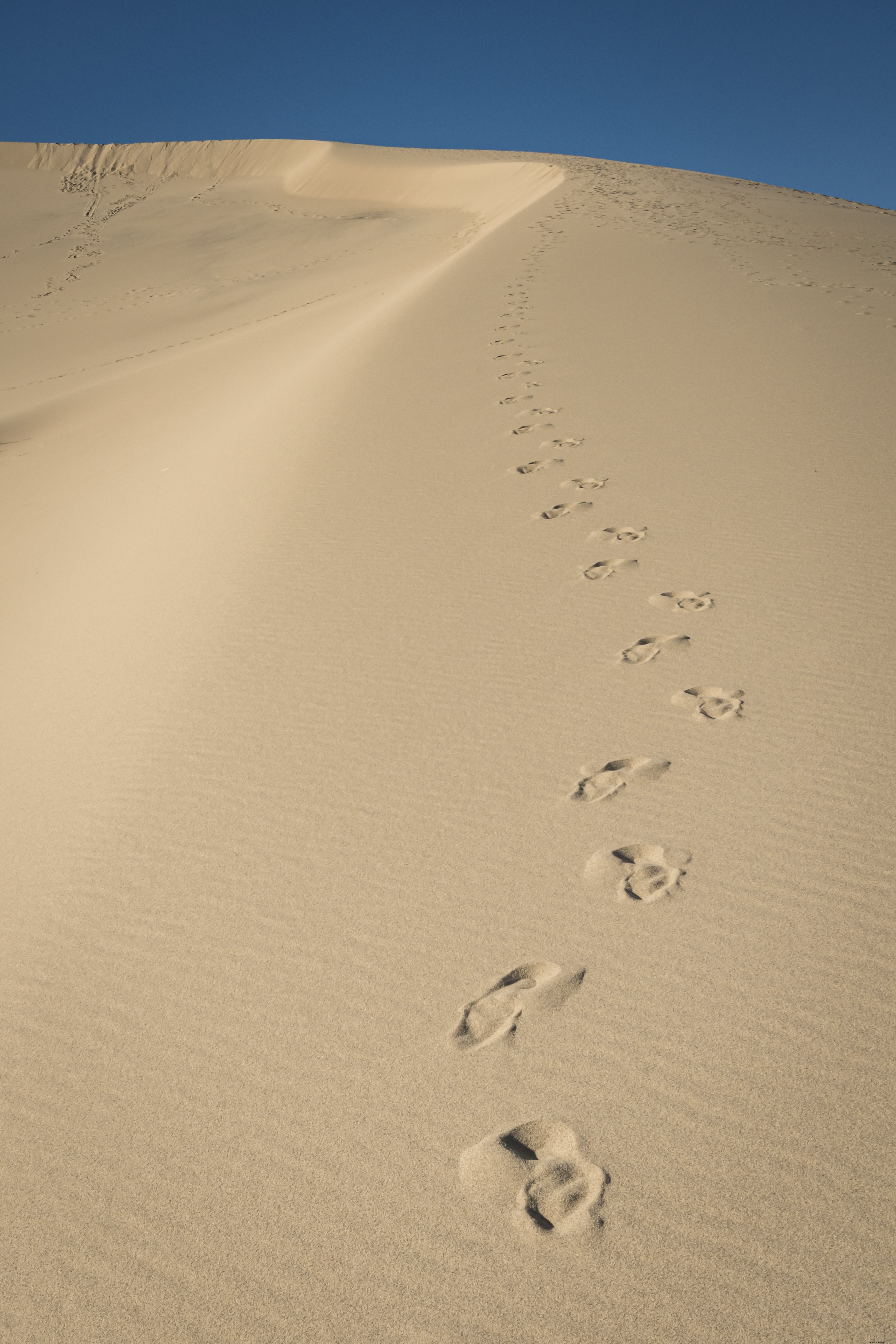 Captivating Photo: Abandoned Footsteps on a Vast Desert Dune