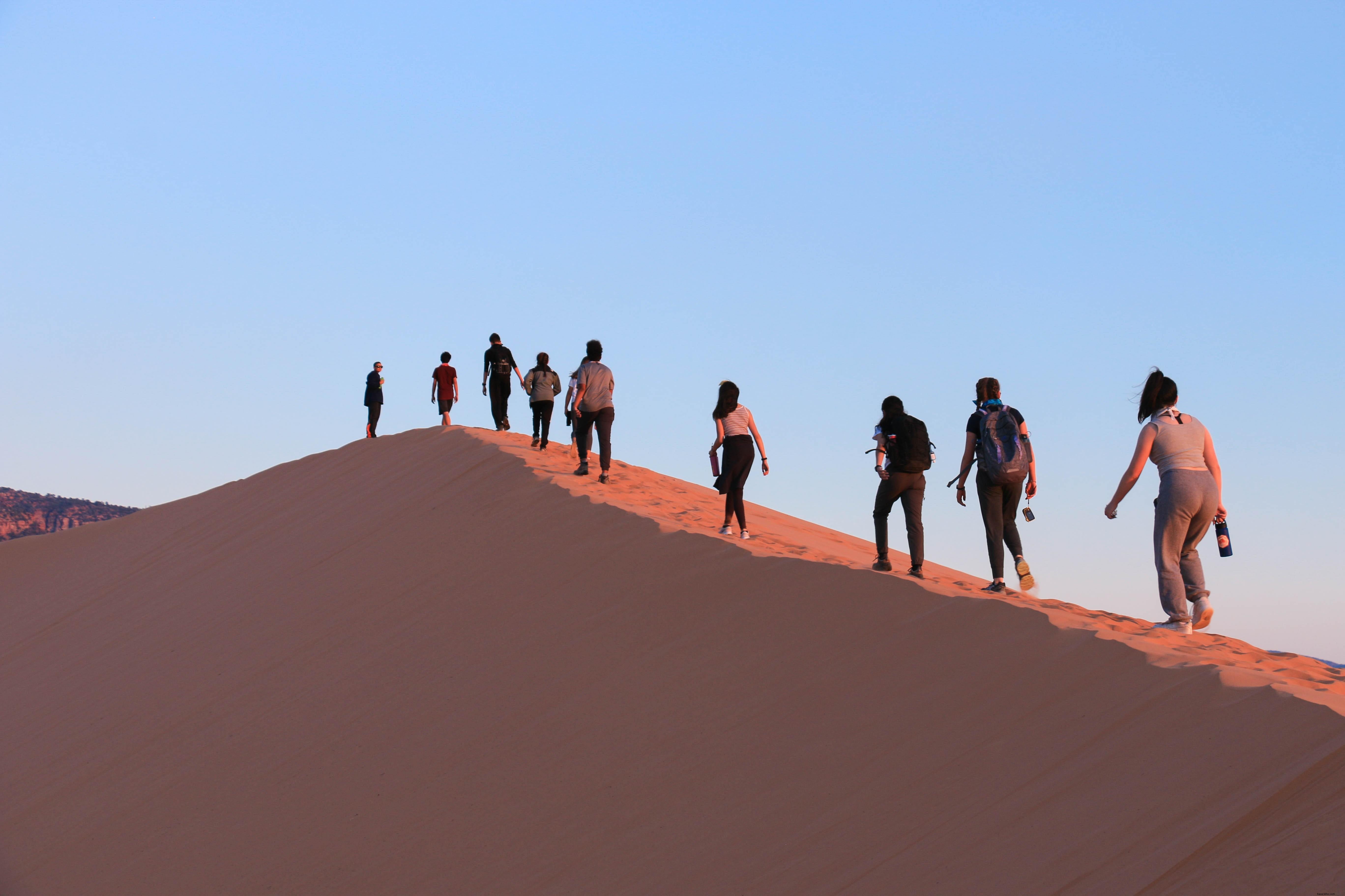 Stunning Photo: Tourists Conquer Steep Sand Dune Hike