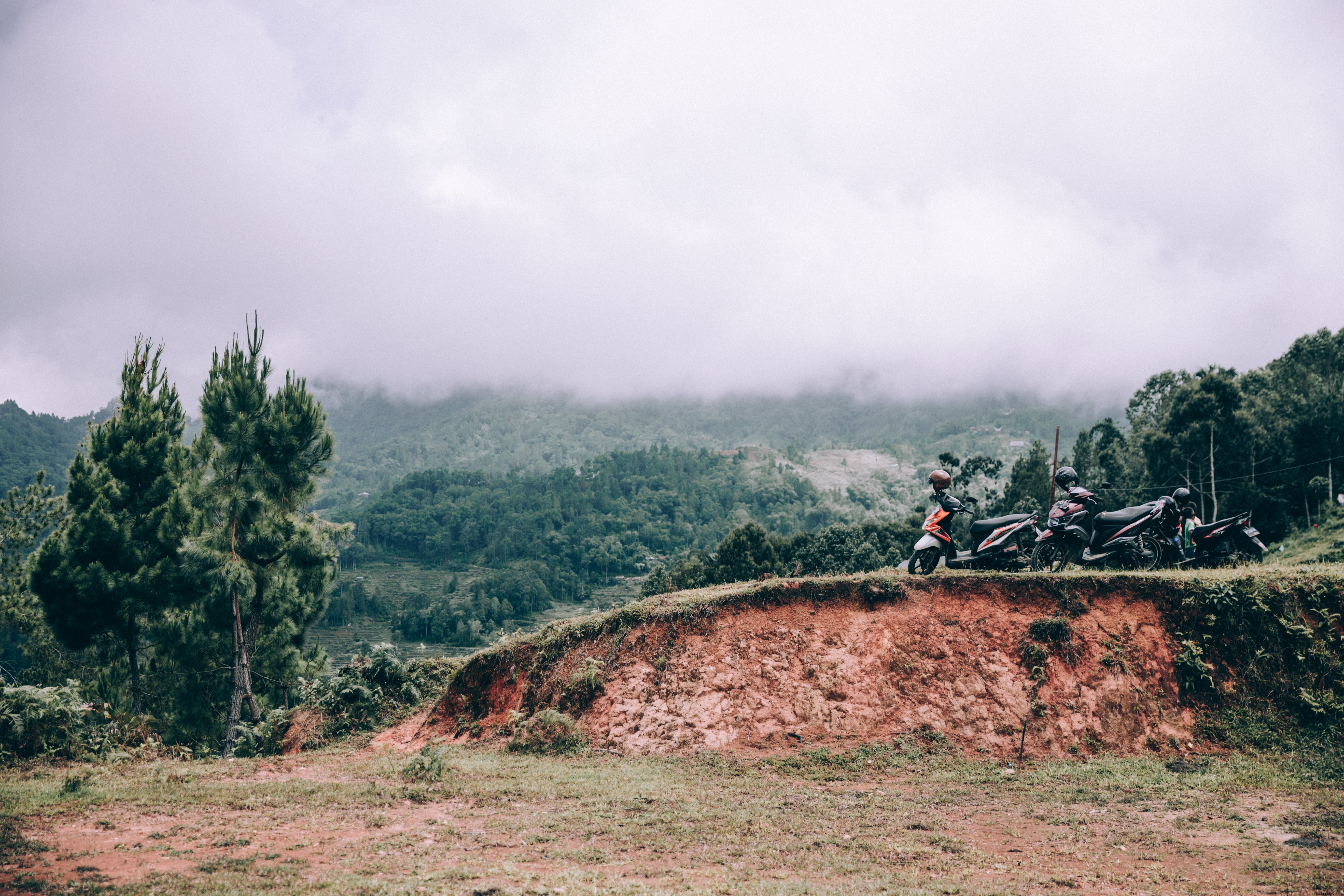 Stunning Photo: Touring Motorcycles Parked Along Lush Jungle Roadway