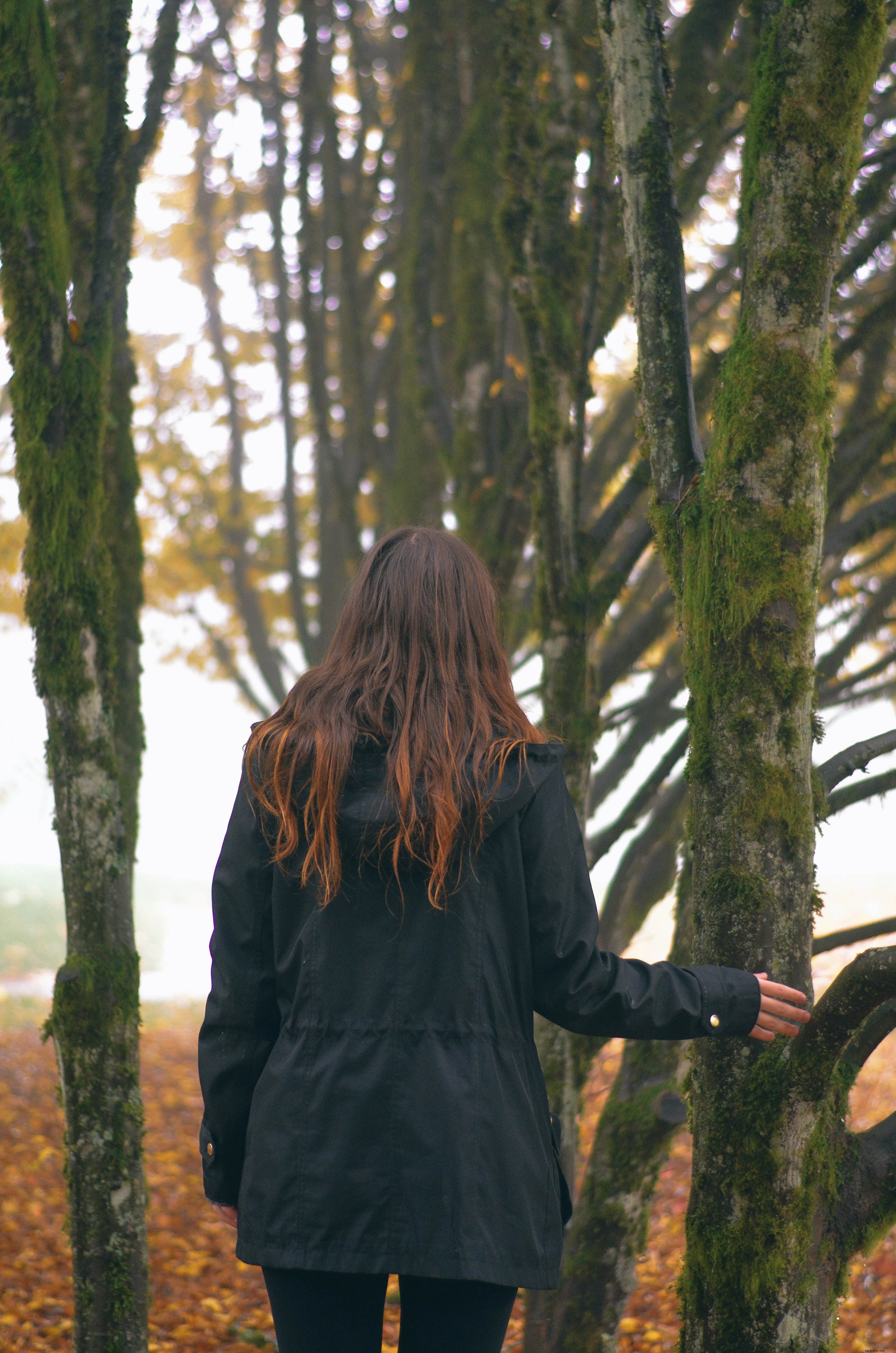 Serene Moment: Person Gazing at Moss-Covered Trees in Lush Forest