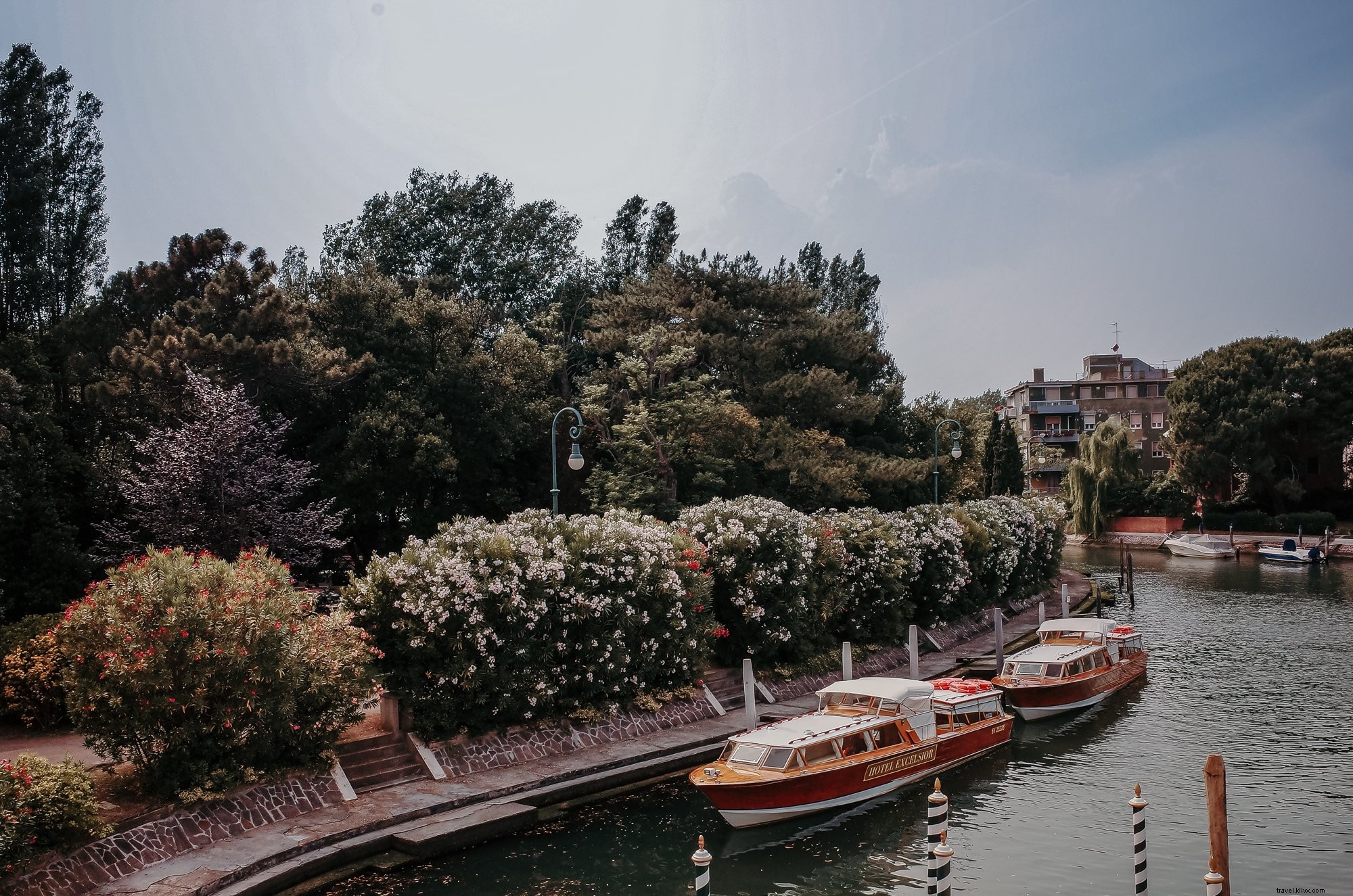 Serene Riverside Photo: Two Boats Docked Amid Tall Lush Trees