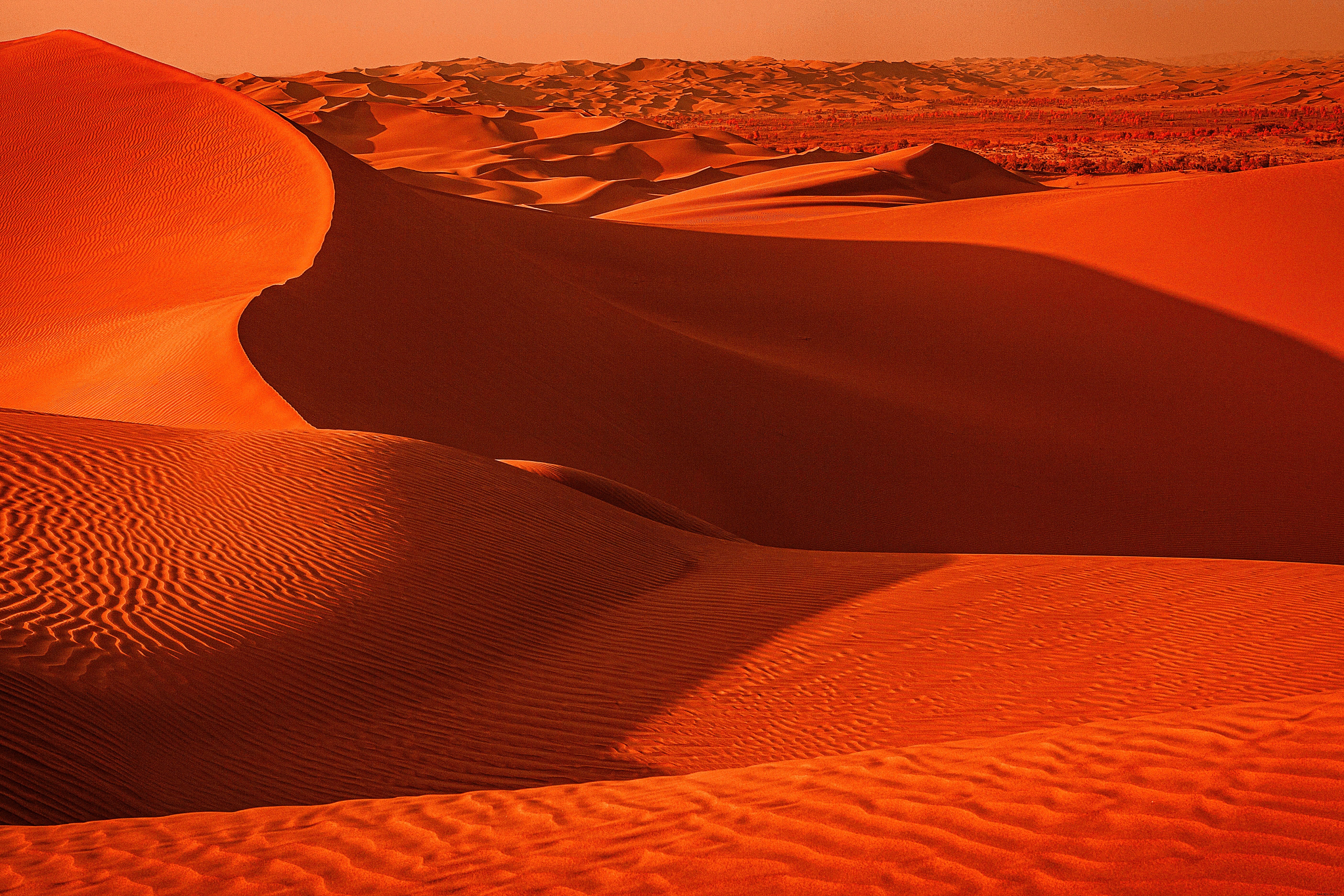 Stunning Desert Landscape: Mesmerizing Wavy Sandy Textures Photo