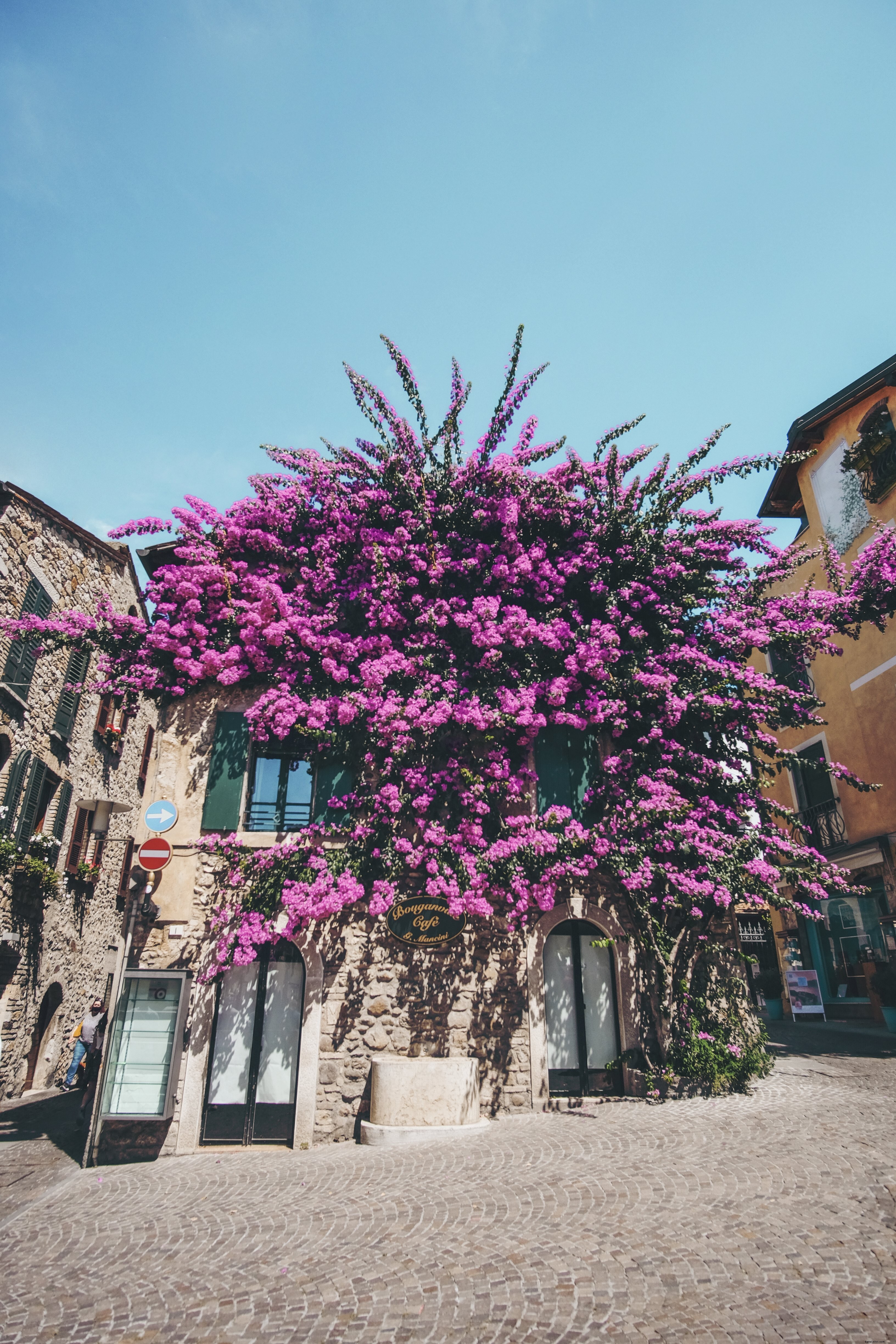 Stunning Building Blanketed in Vibrant Bougainvillea Blooms – Captivating Photo
