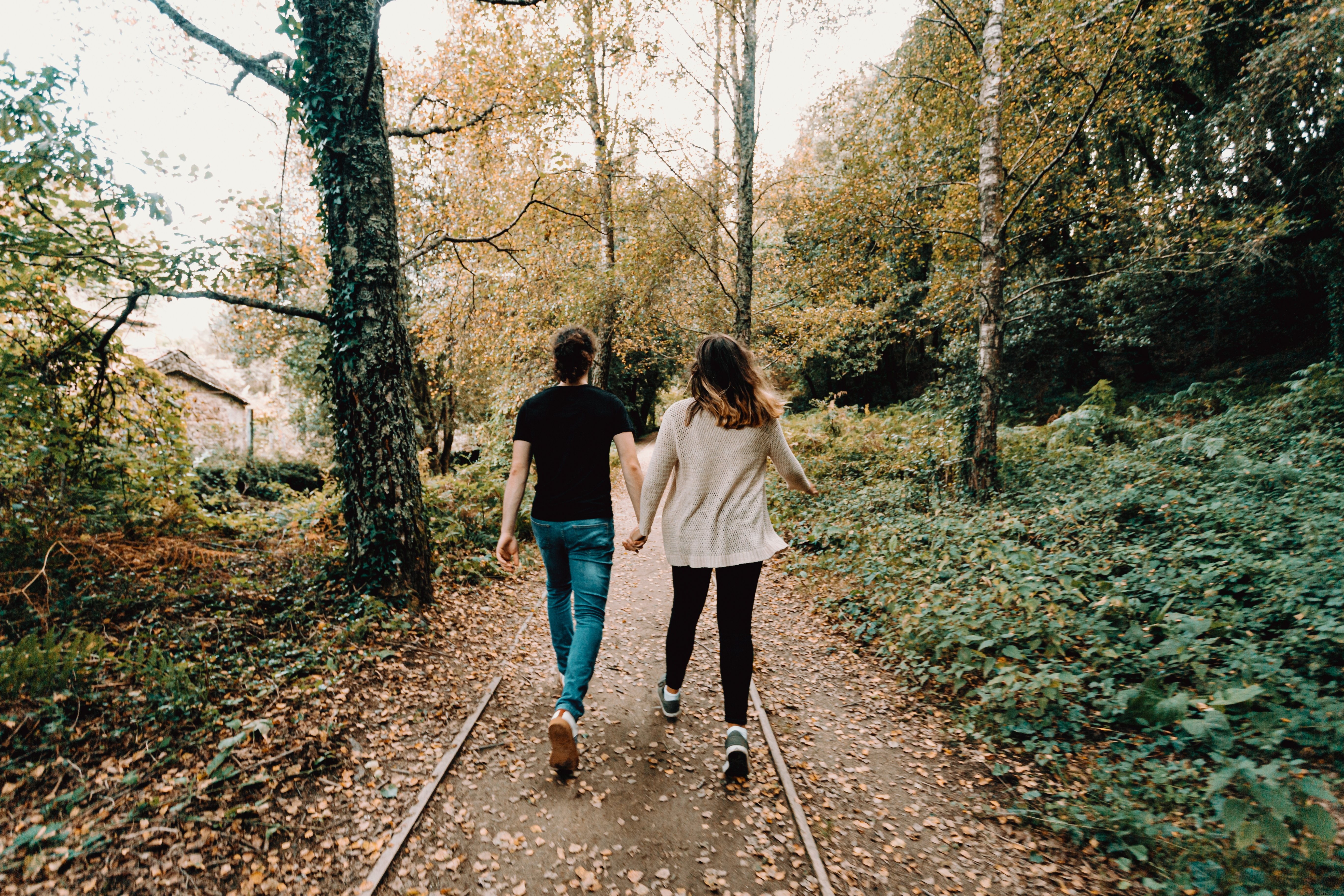 Romantic Couple Holding Hands Strolling Through Vibrant Green and Yellow Forest Photo