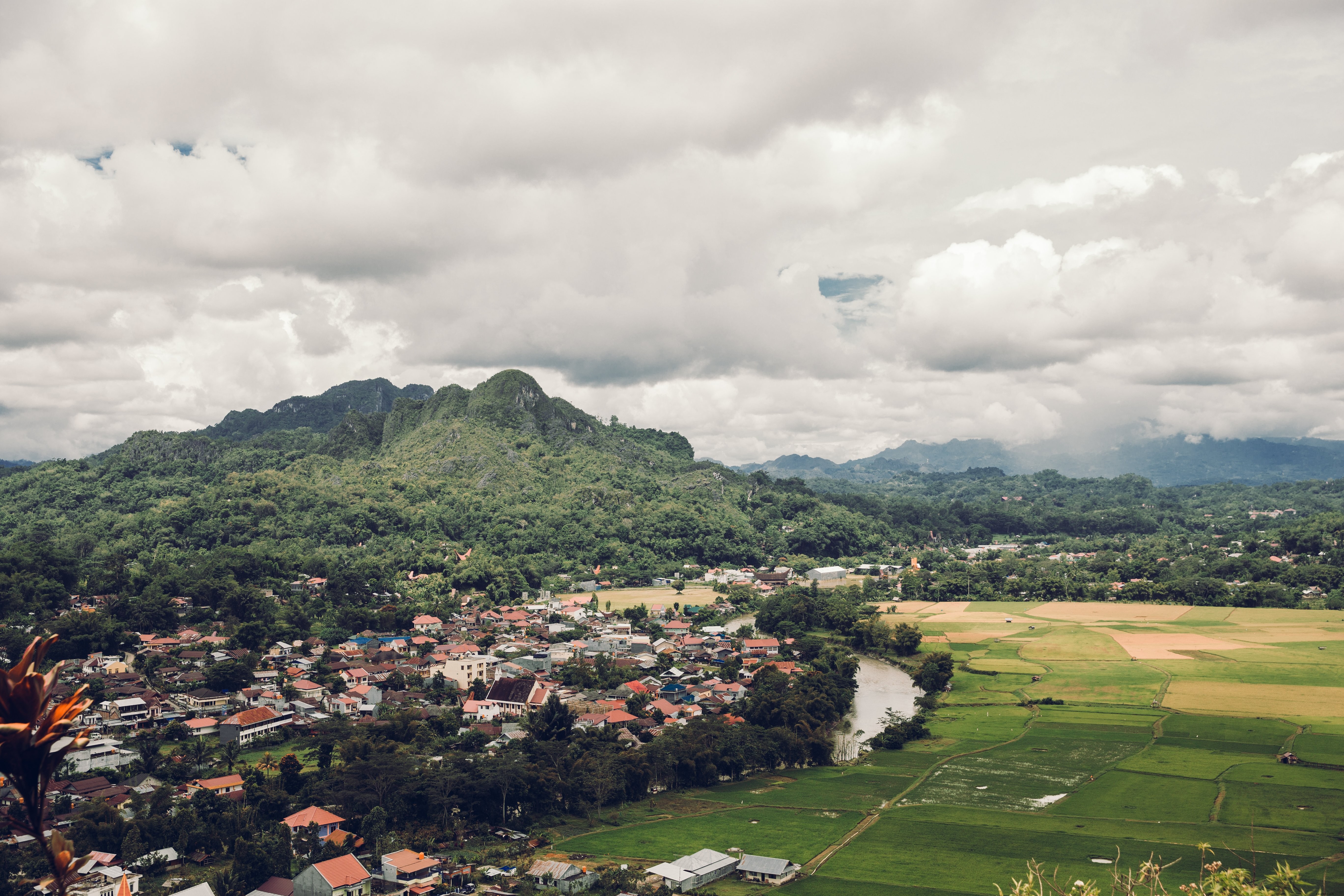 Stunning Rice Farms in a Lush Mountain Valley – Breathtaking Photo