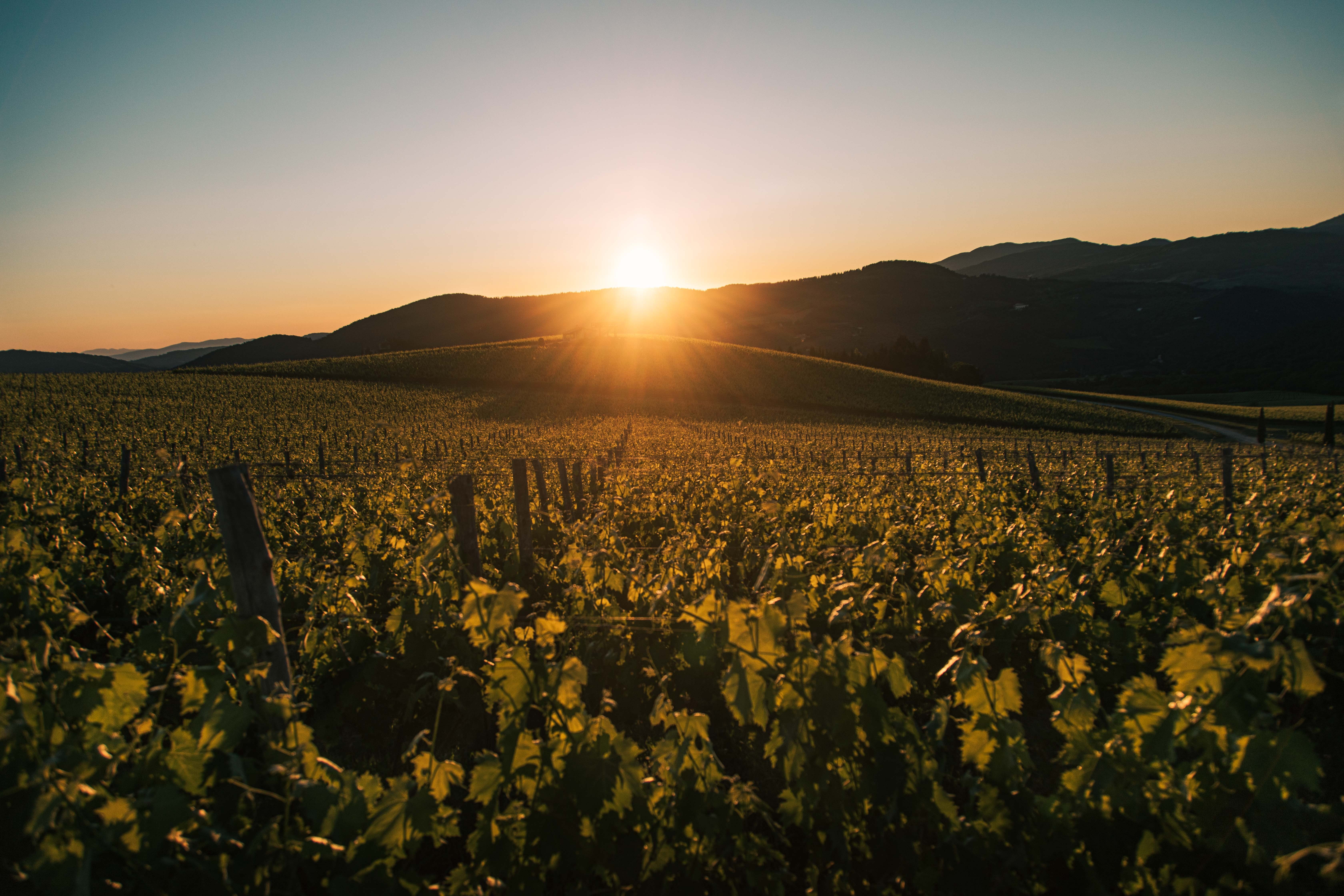 Sunset Beneath the Horizon Over Majestic Mountain Peaks