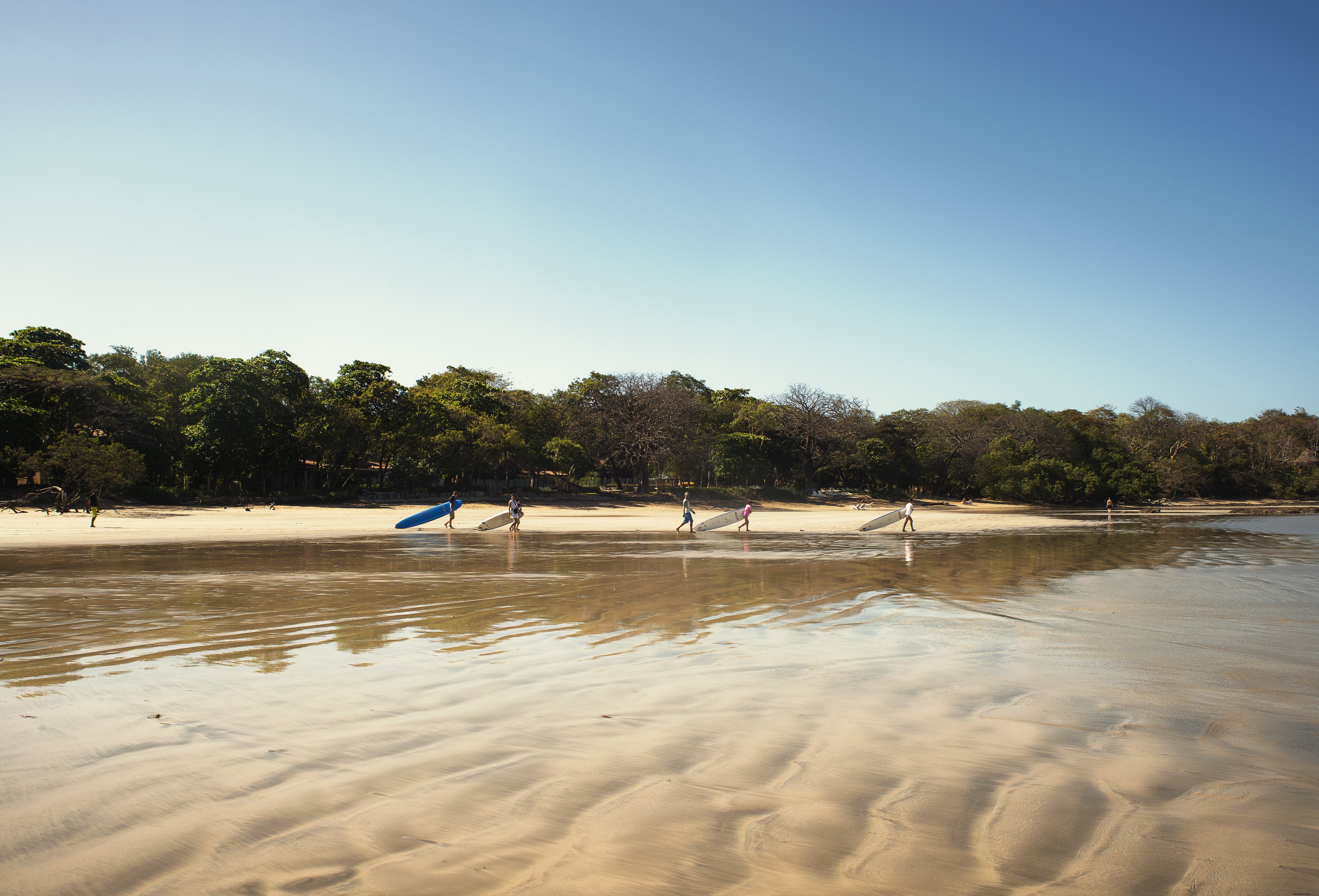 Surfers Hit the Waves in Stunning Photo