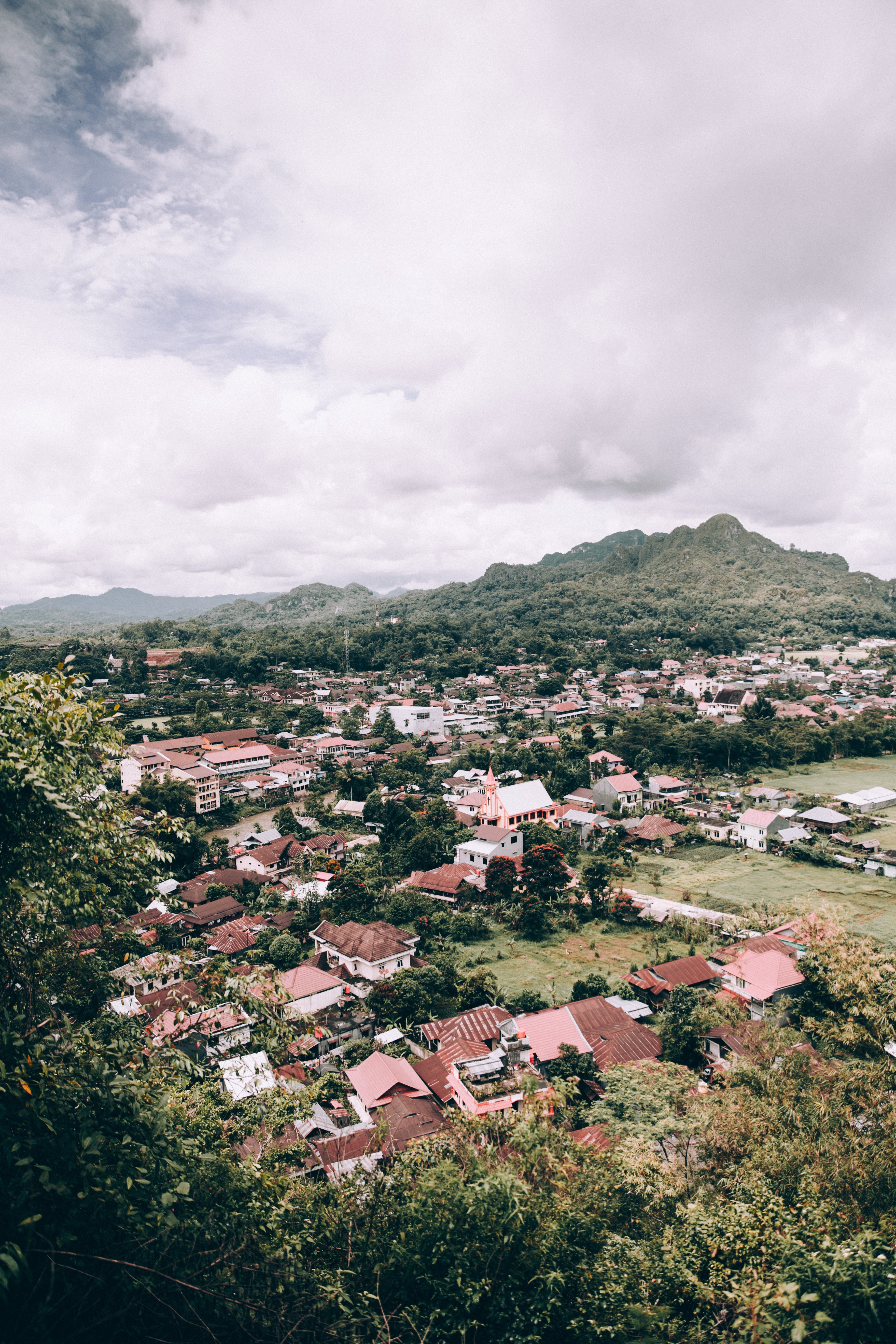Stunning Red Rooftops Amidst Lush Jungle Landscape