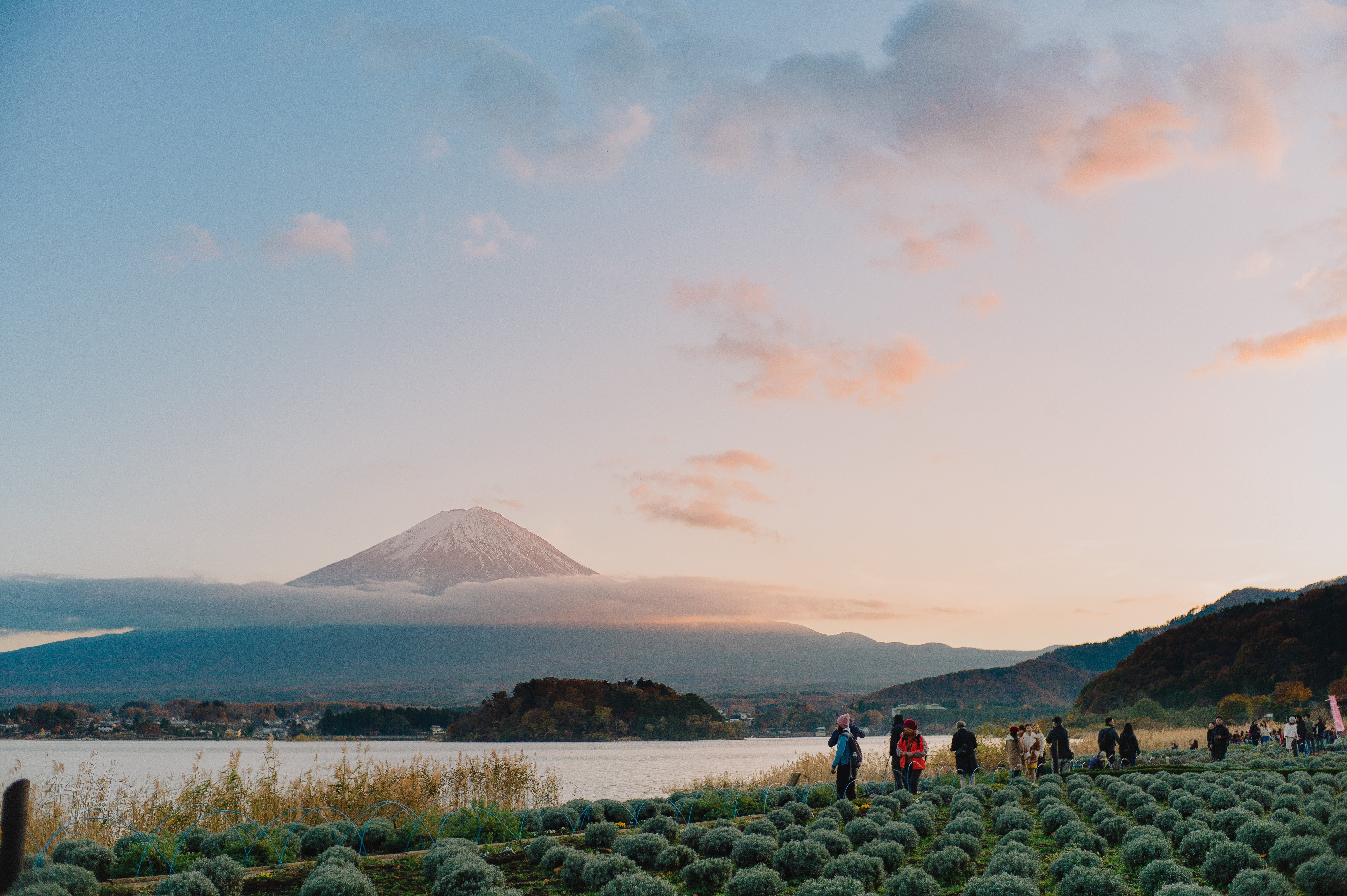 Strolling Through Circular Plant Rows: A Captivating Field Portrait