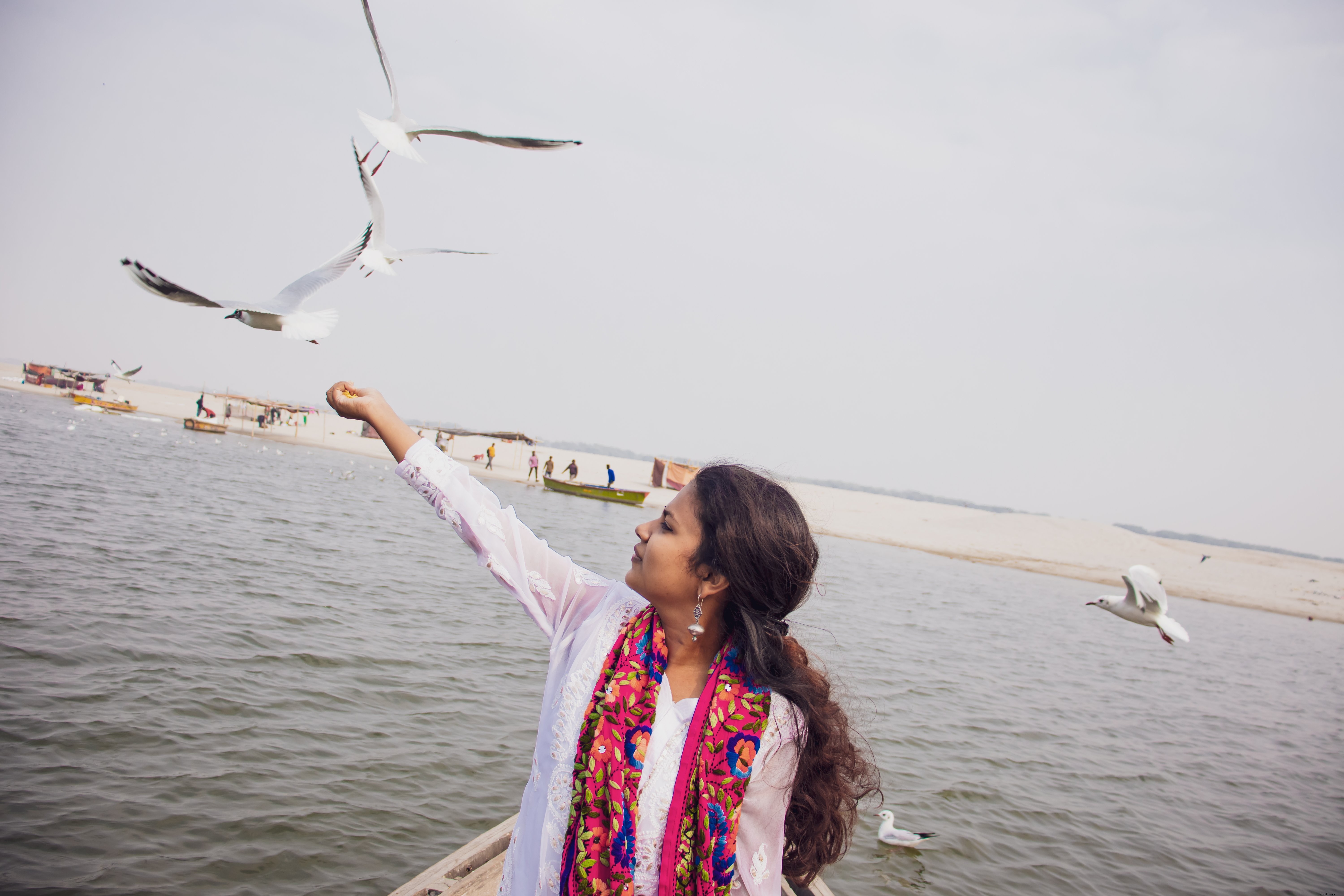 Person Offers Hand to Feed Birds – Stunning Overhead Photo