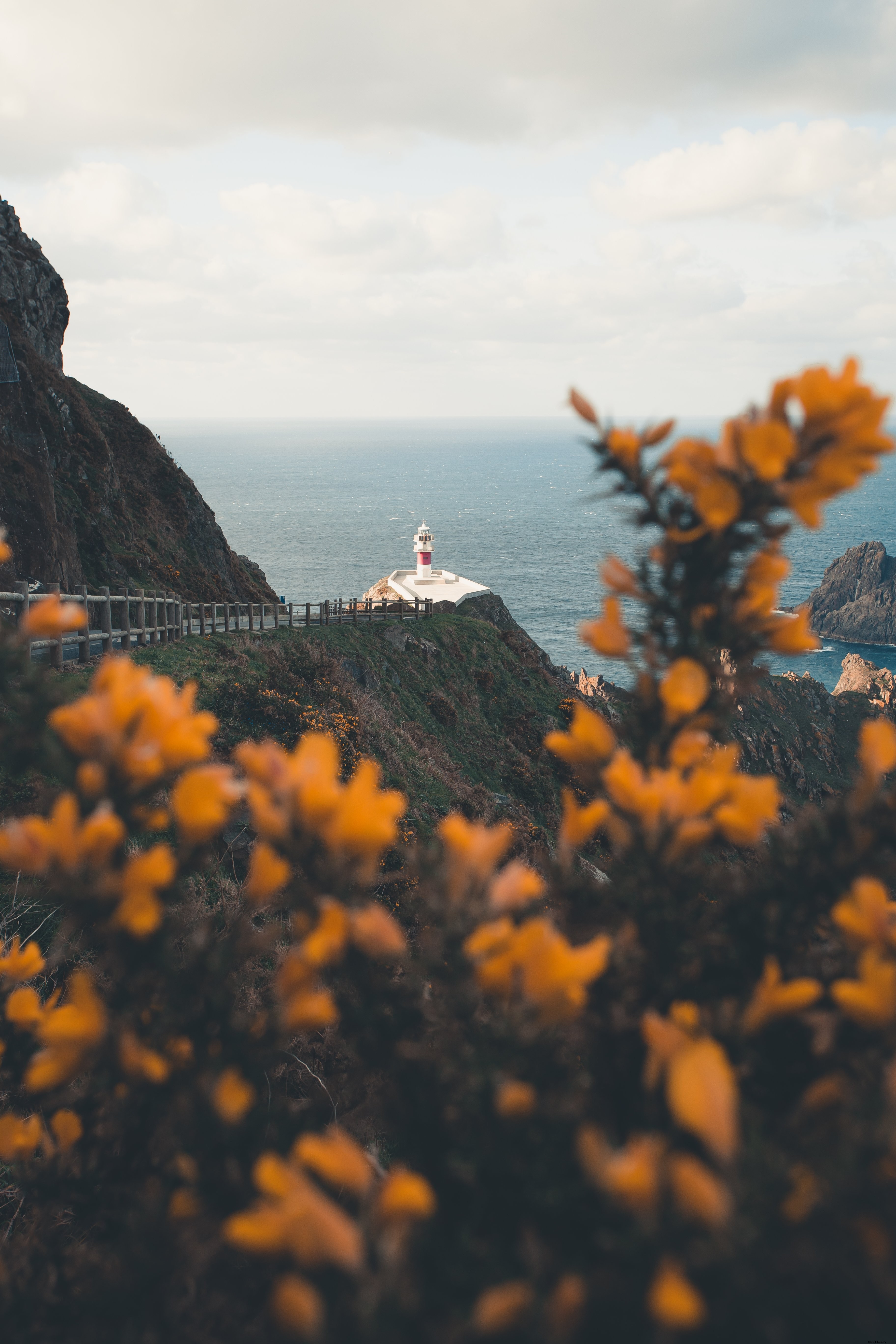 Stunning Lighthouse Over Ocean, Illuminated Through Tree-Branch Flowers