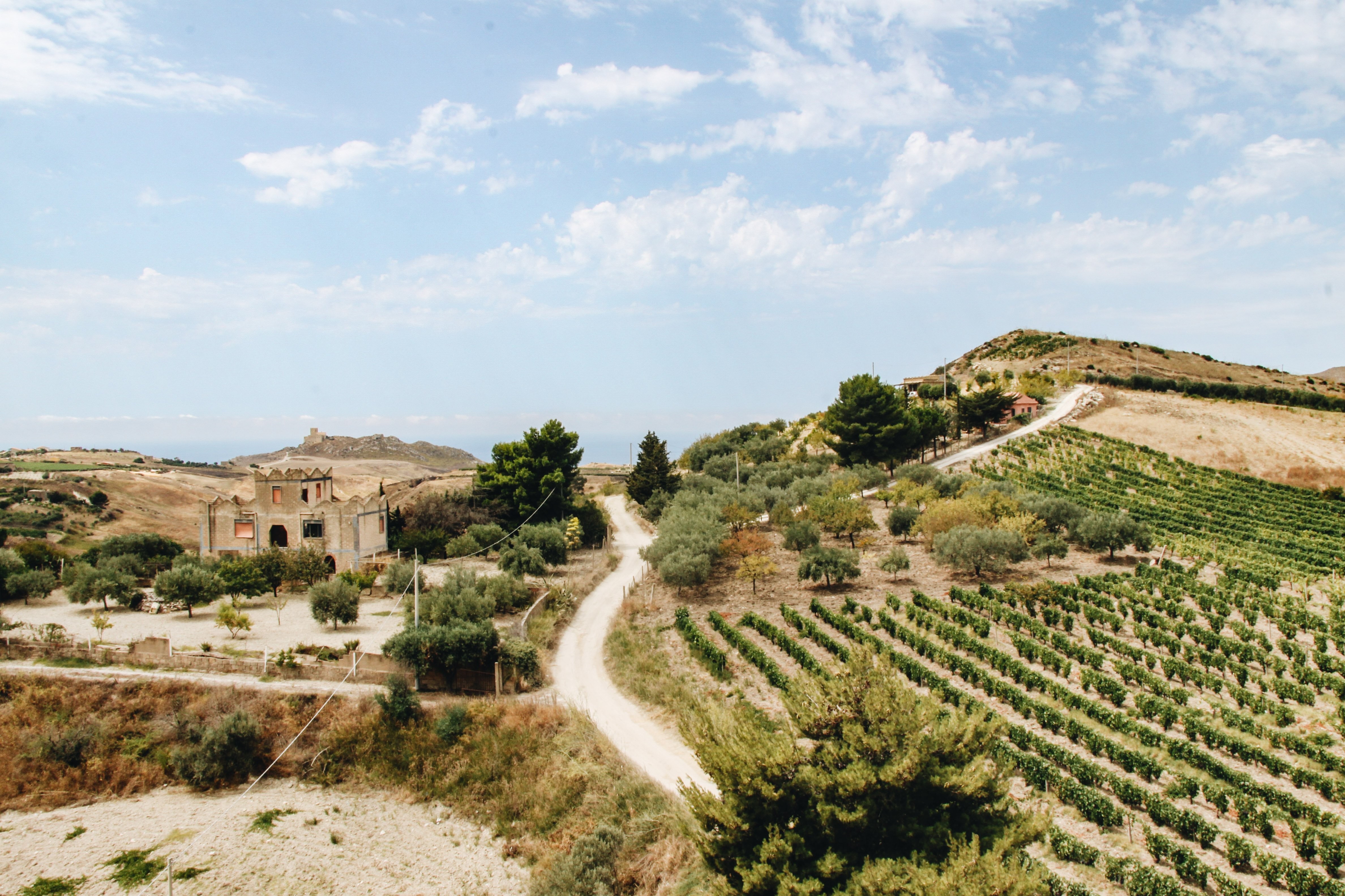 Stunning Farm Fields Breathtaking Blue Skies Photography
