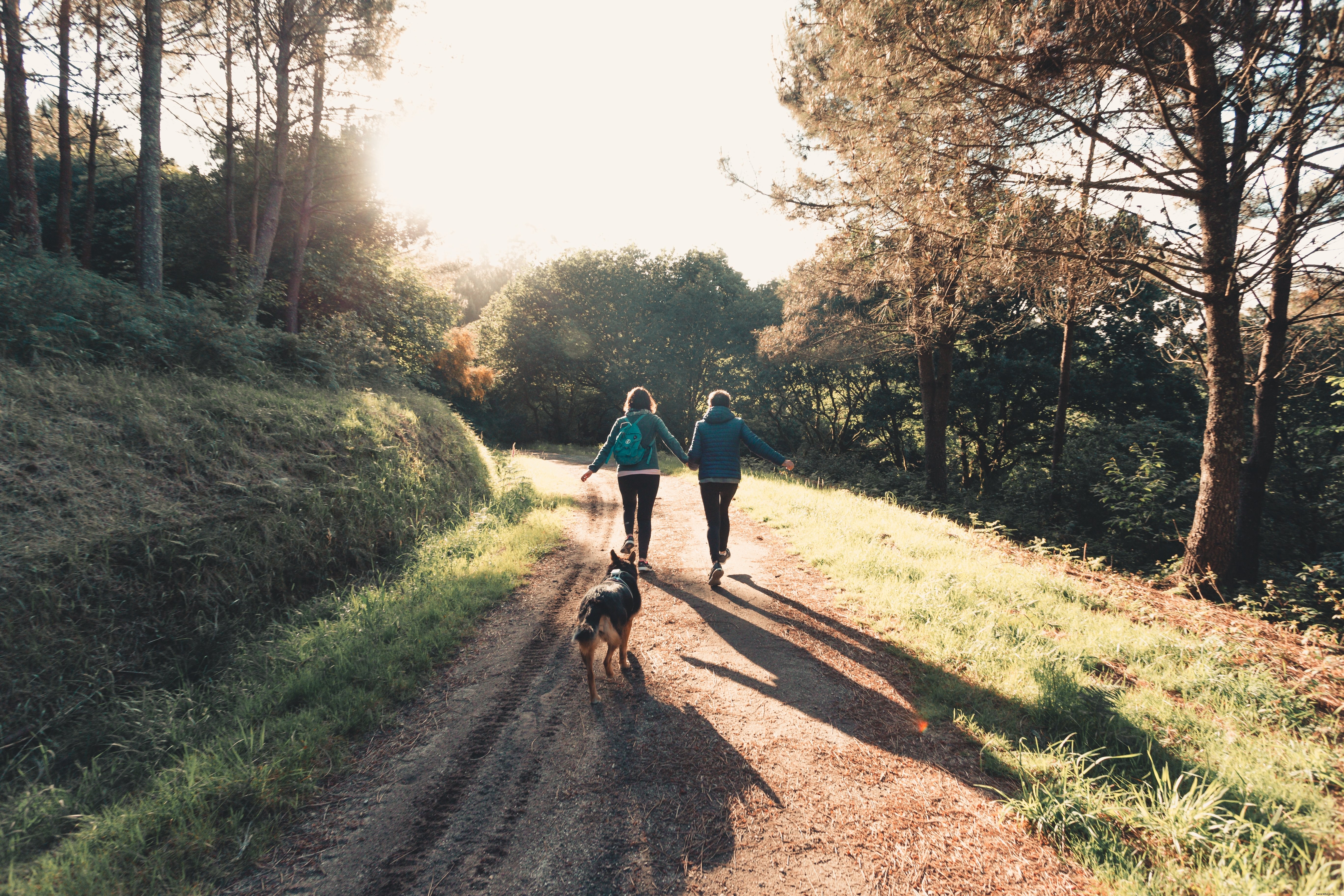 Stunning Trail Adventure: Two Friends and Their Dog Explore Nature