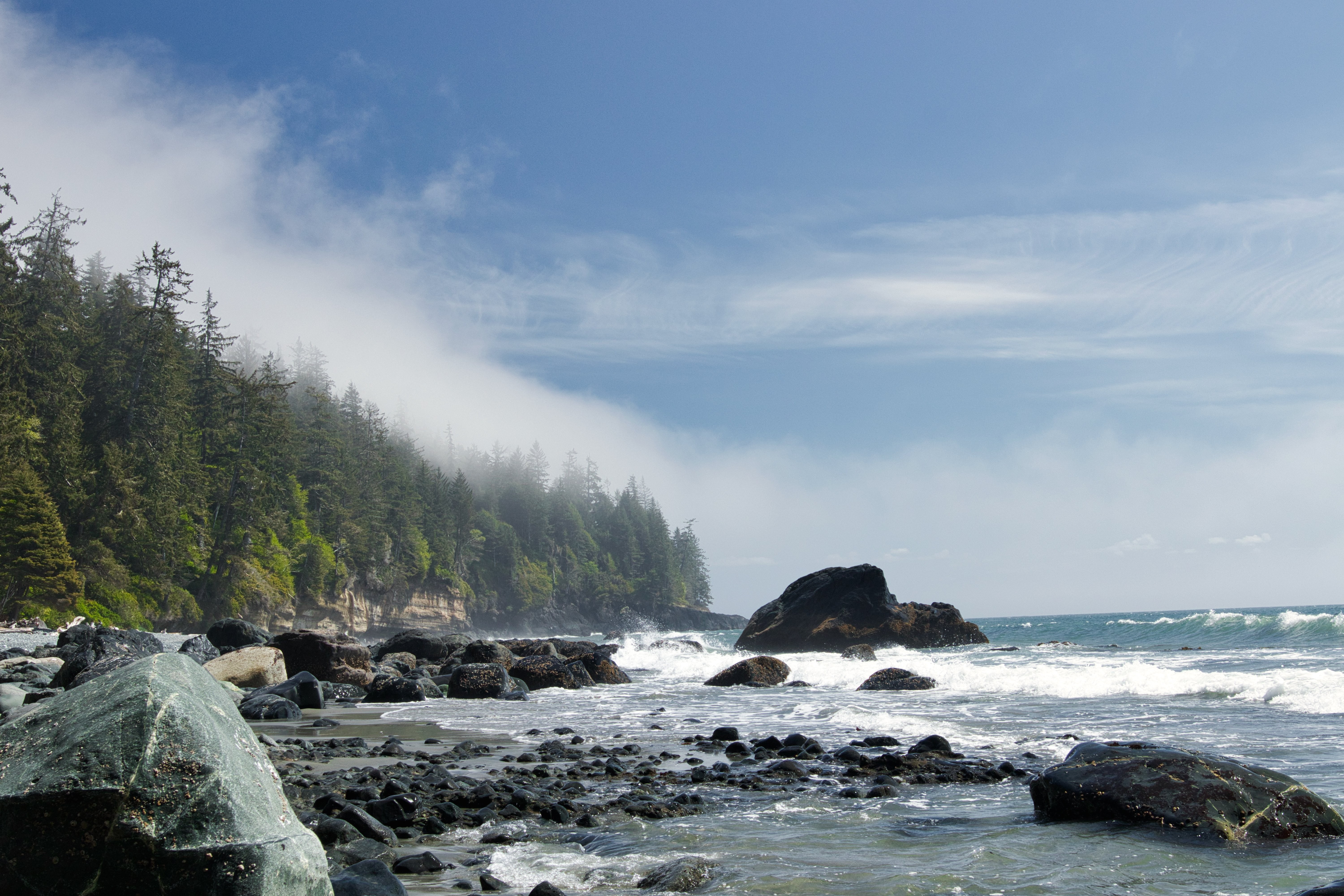 Stunning Coastal Landscape: Trees, Rocks, and Tranquil Waters