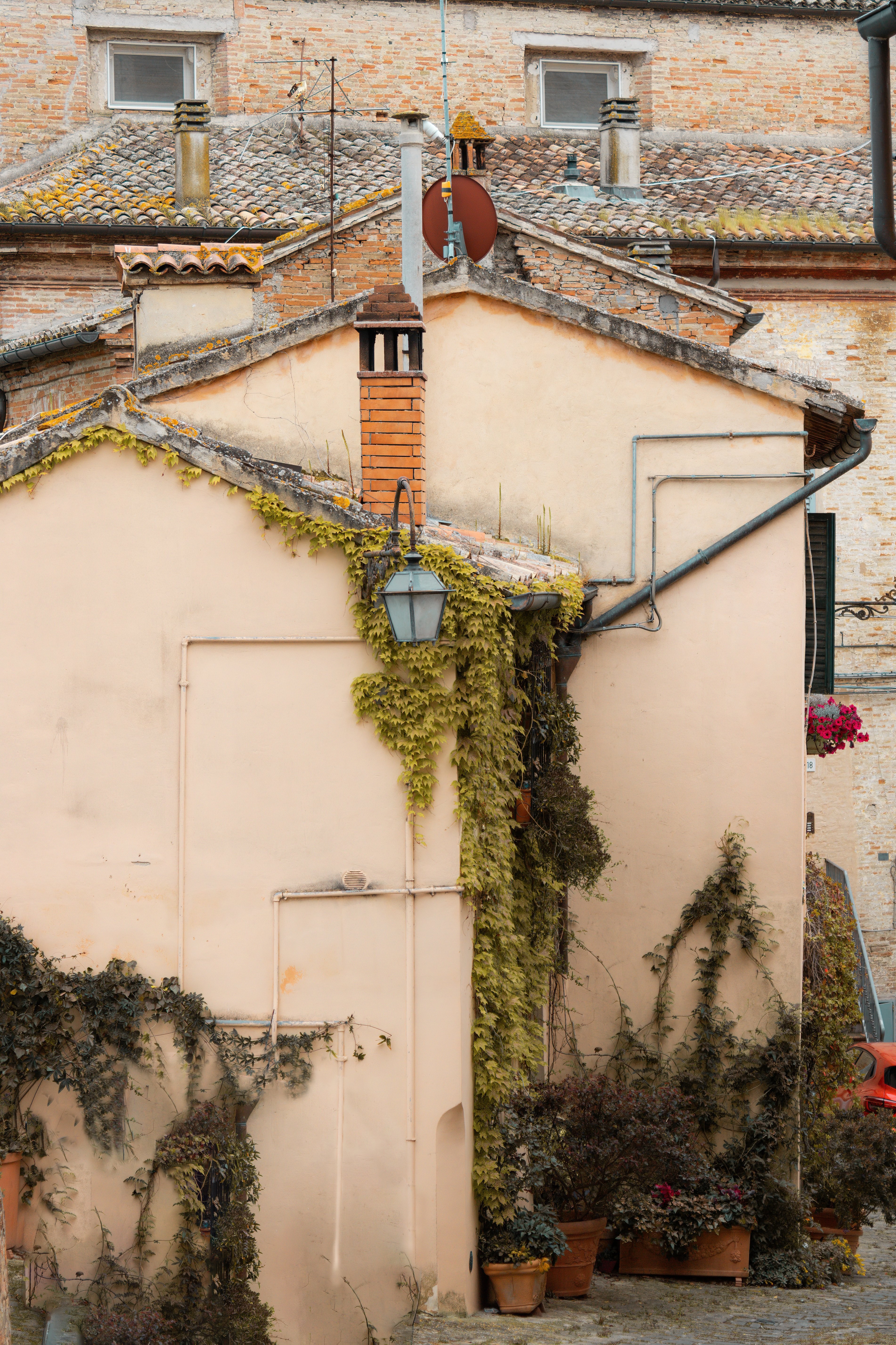 Vines Draping Over Building Facade – Stunning Architectural Detail
