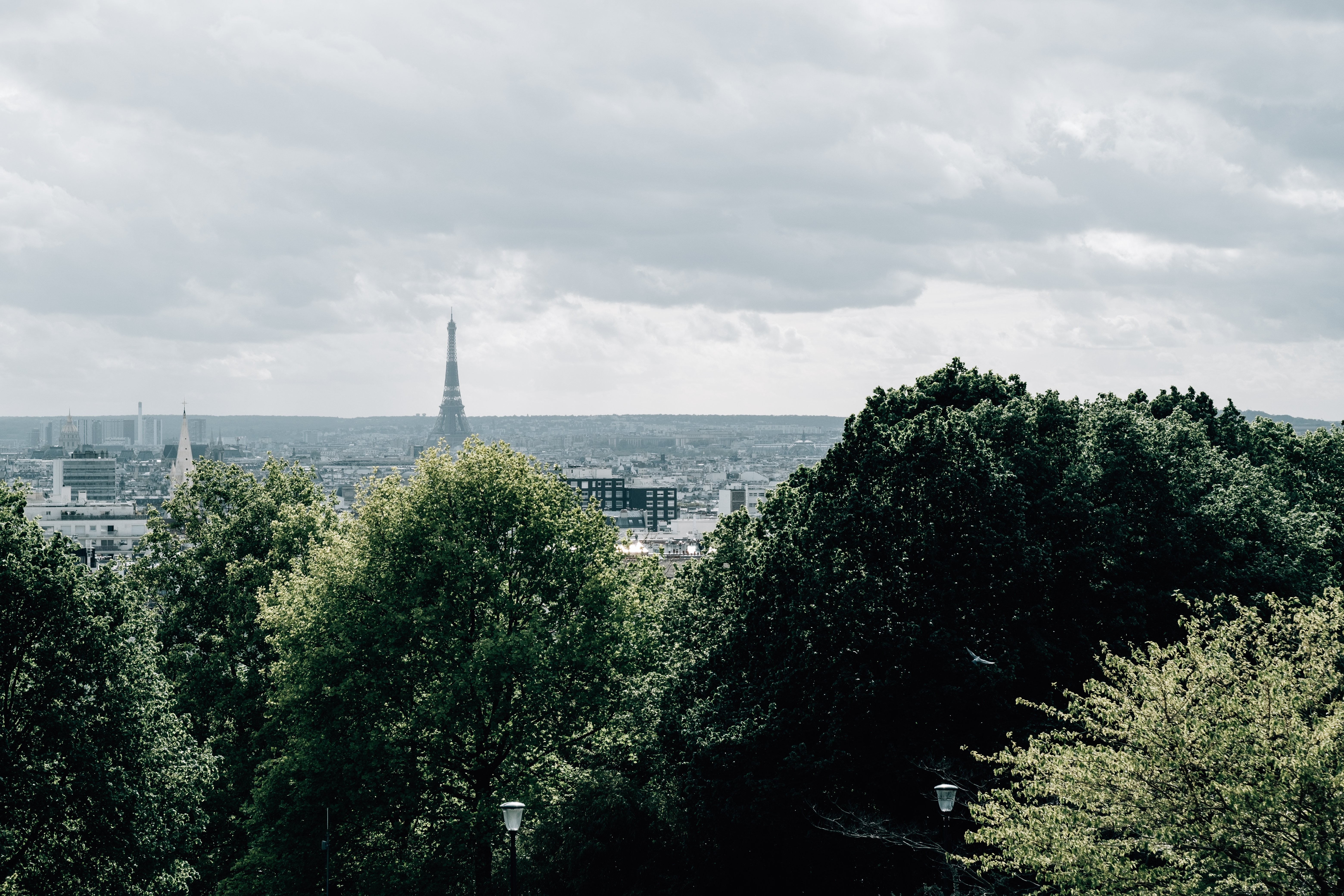 Stunning Paris Skyline Featuring the Eiffel Tower Against the Horizon