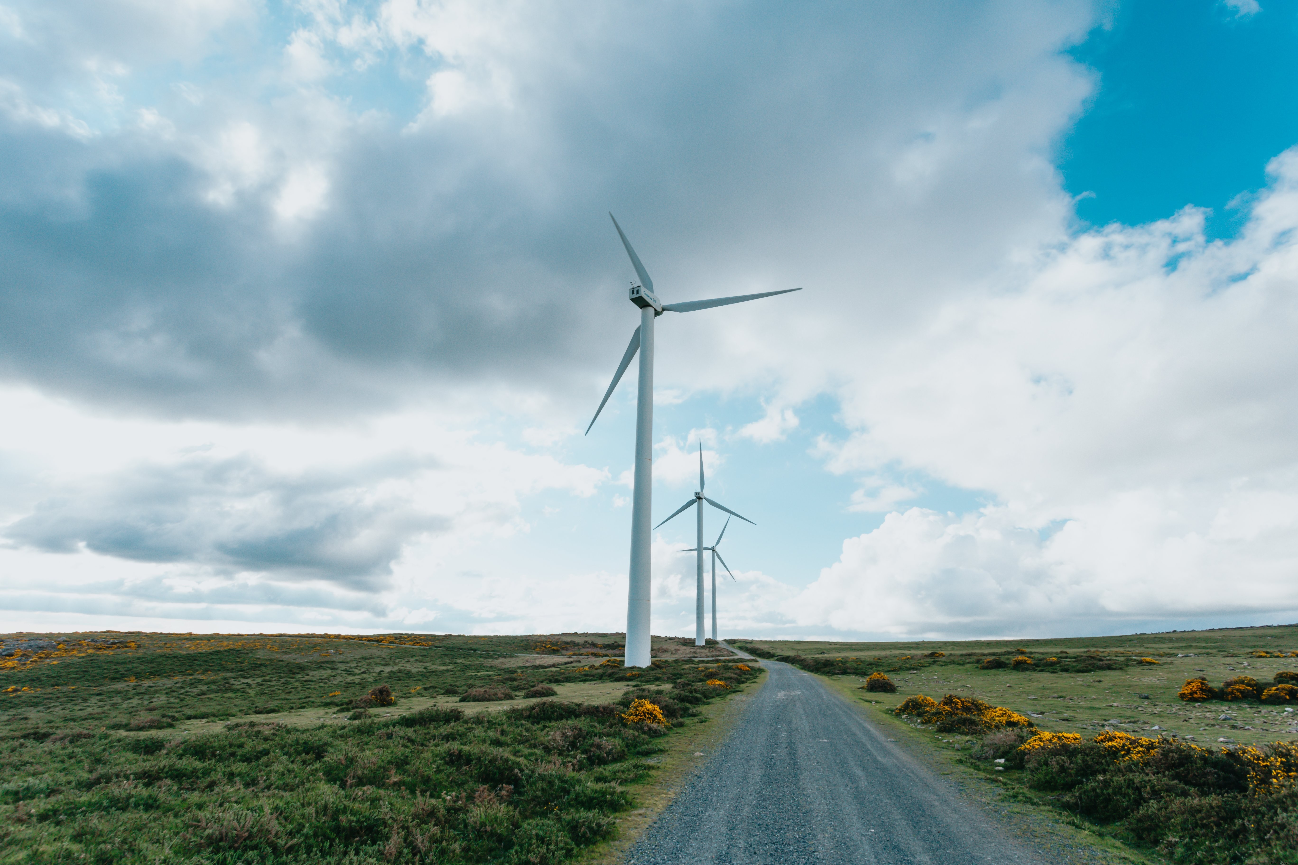 Scenic Country Road Featuring Tall Windmills – Photo