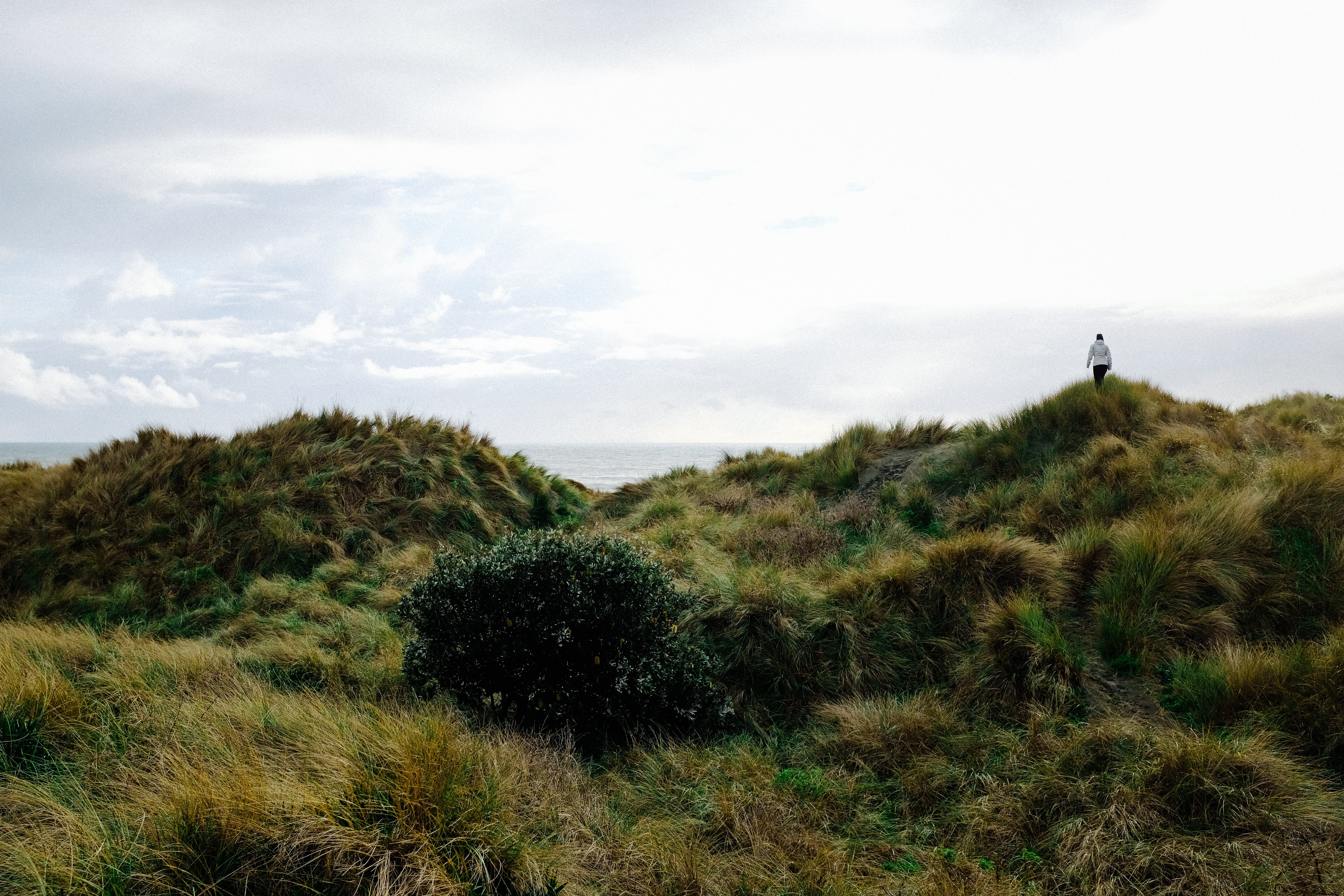 Serene Journey: Woman Traverses Grassy Dunes at Sunset
