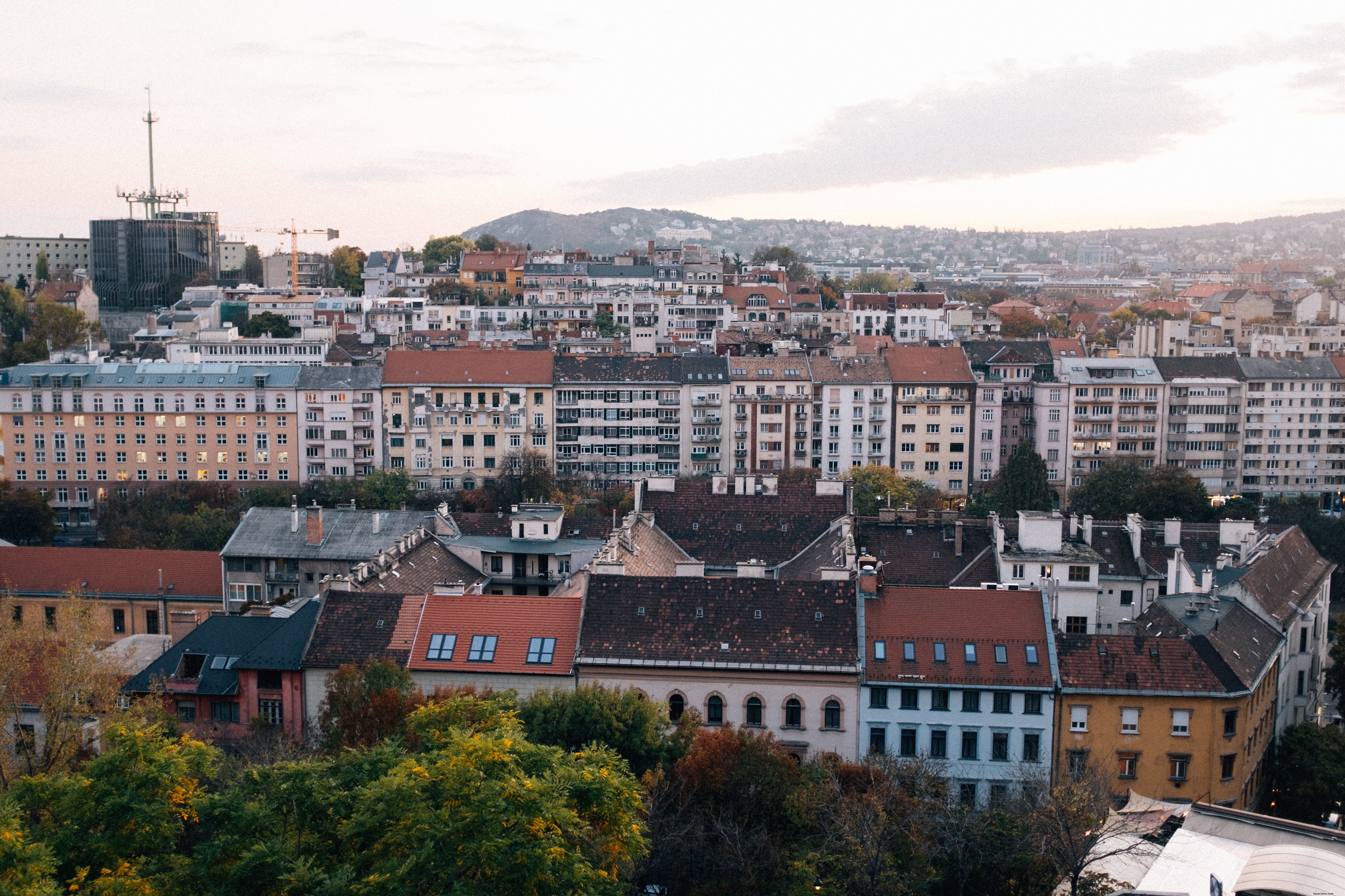 Vibrant Urban Landscape: Buildings Framed by Lush Trees