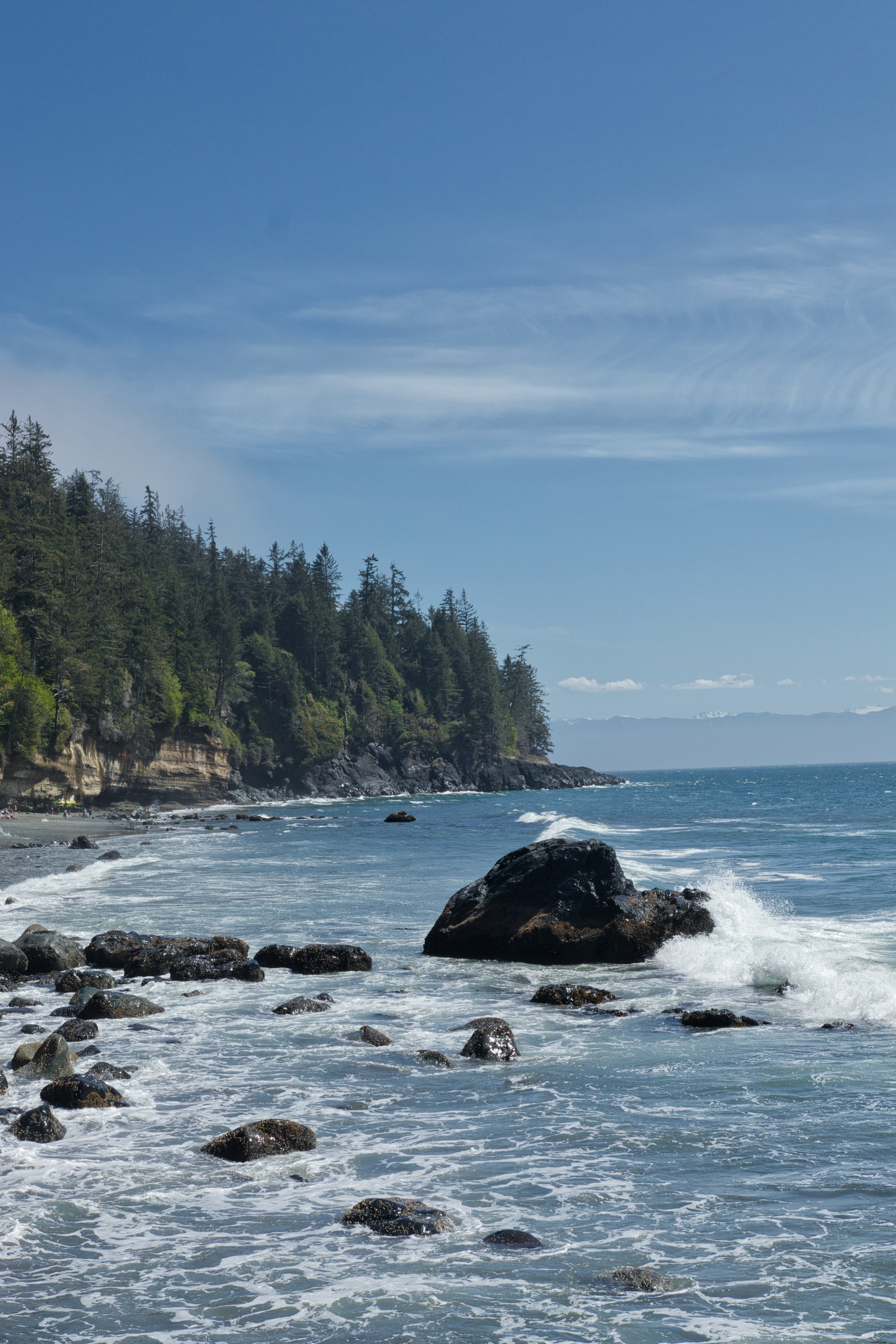 Tree‑lined Ocean Coast Landscape – A Serene Coastal Photograph