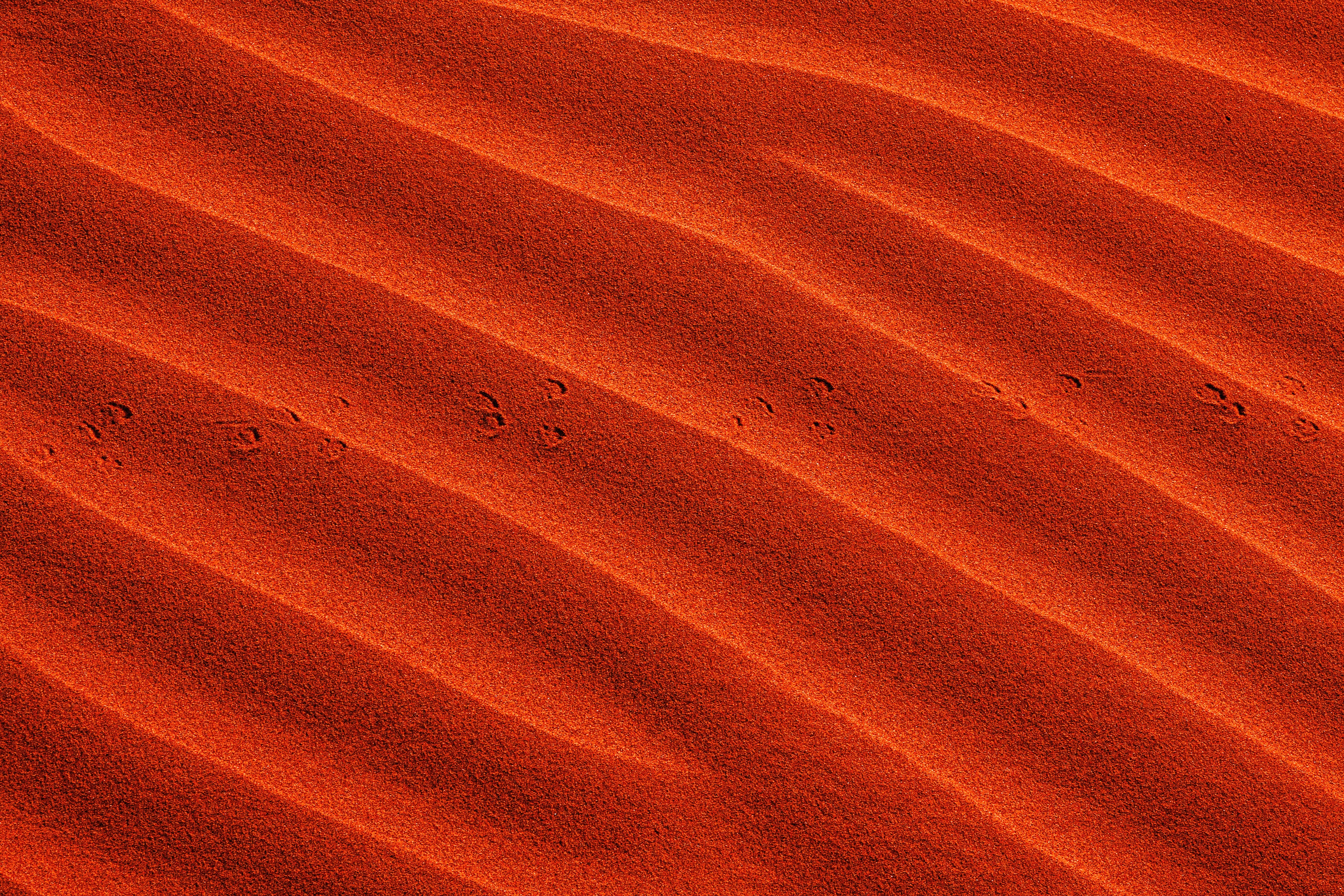 Stunning Wave Scene: Orange Sand, Tiny Footprints – Captured in Crisp Detail