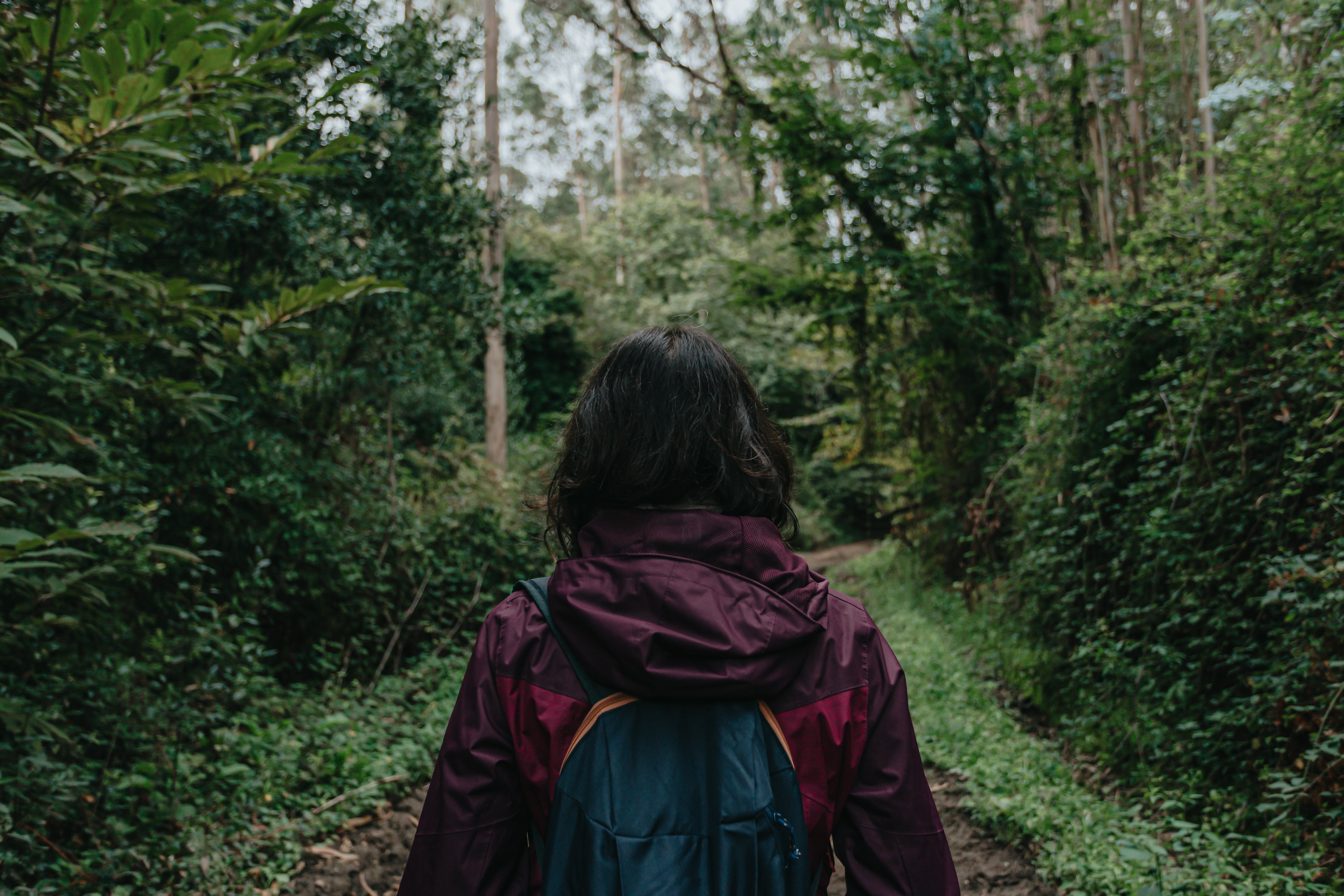 A Person in a Red Raincoat Walks Through a Lush Pathway