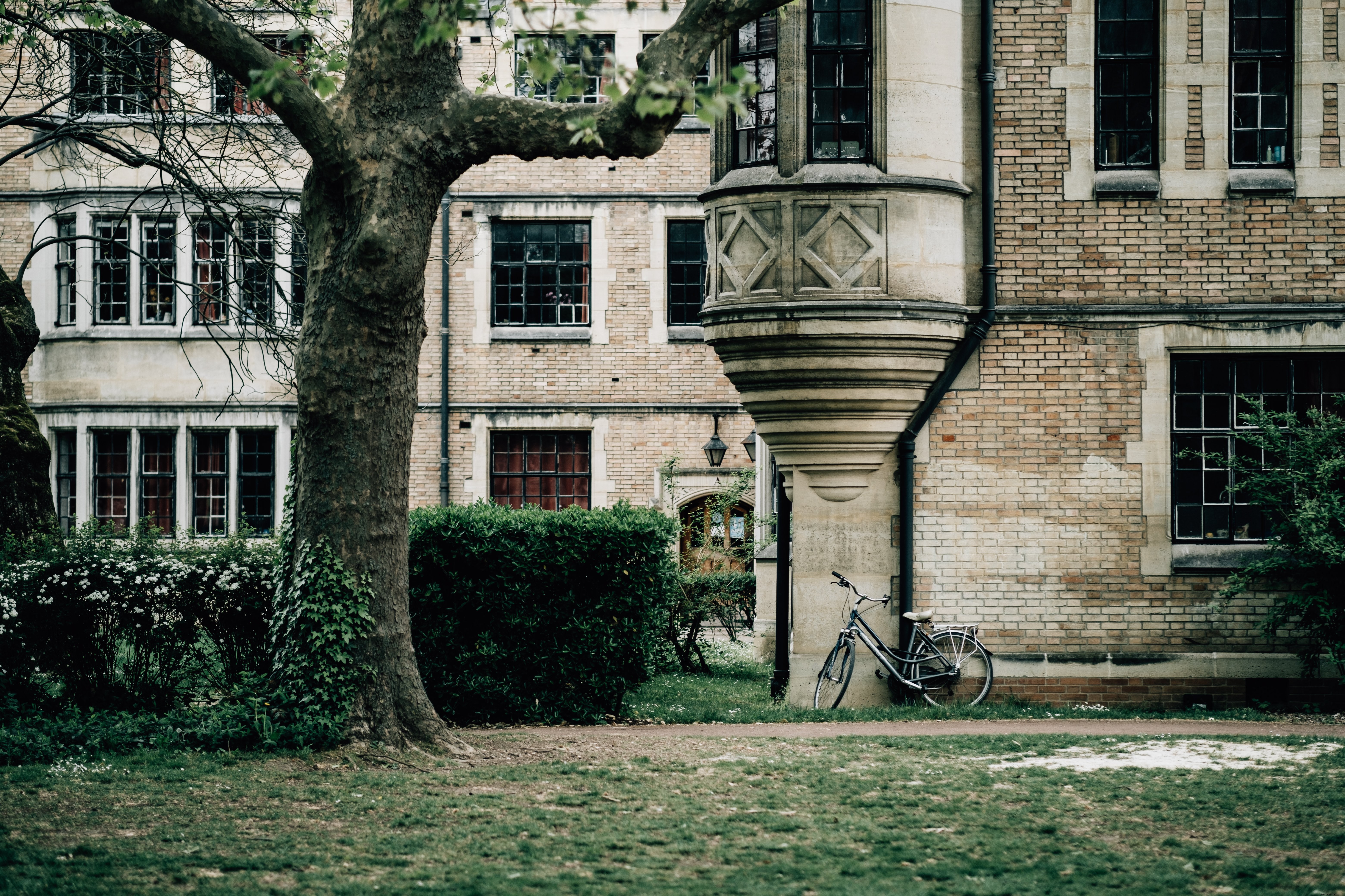 Historic Building Meets Modern Mobility: Bicycle Against Lush Green Grass