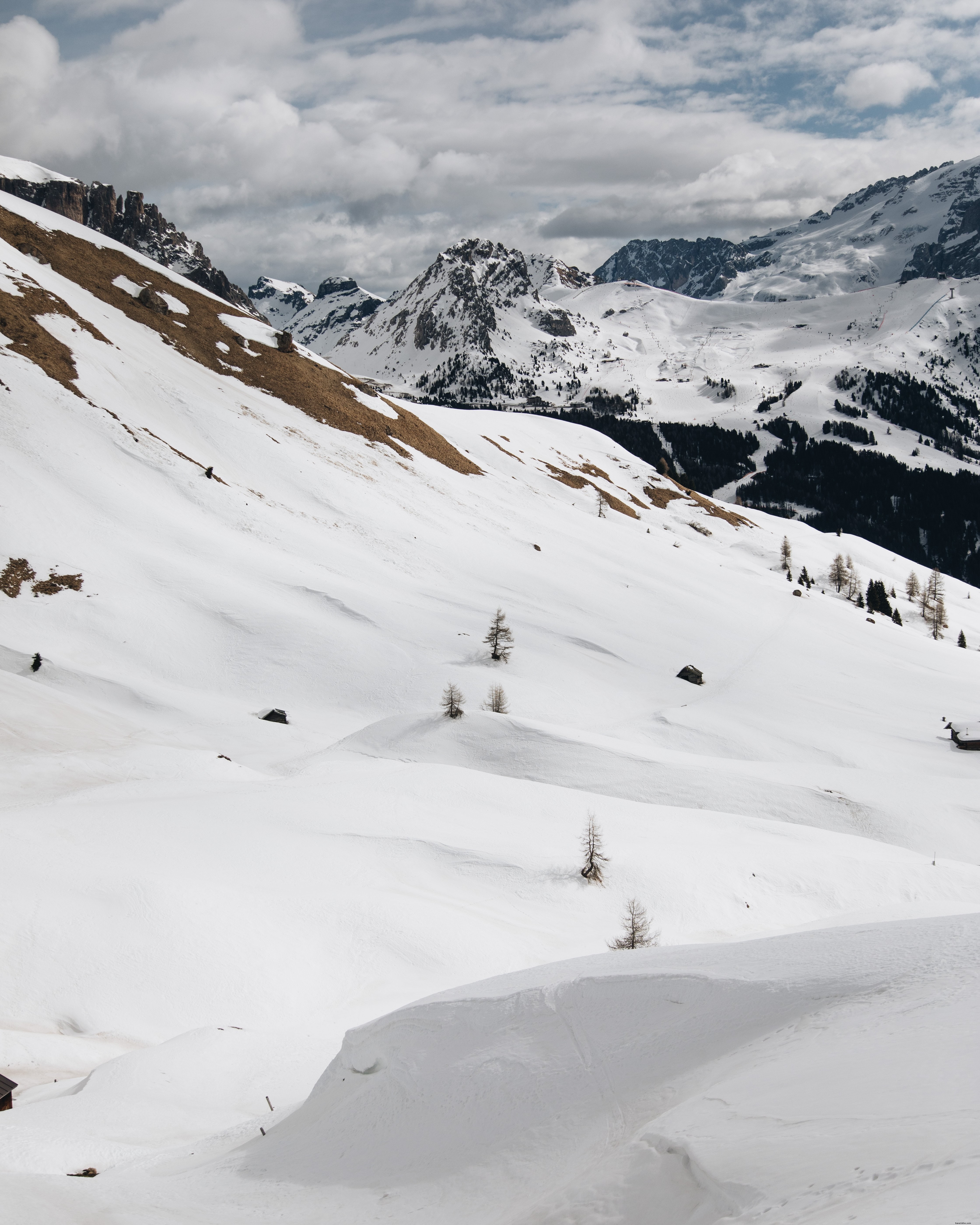 Freshly Powered Snow Cascades Over Rolling Hills – Stunning Photo