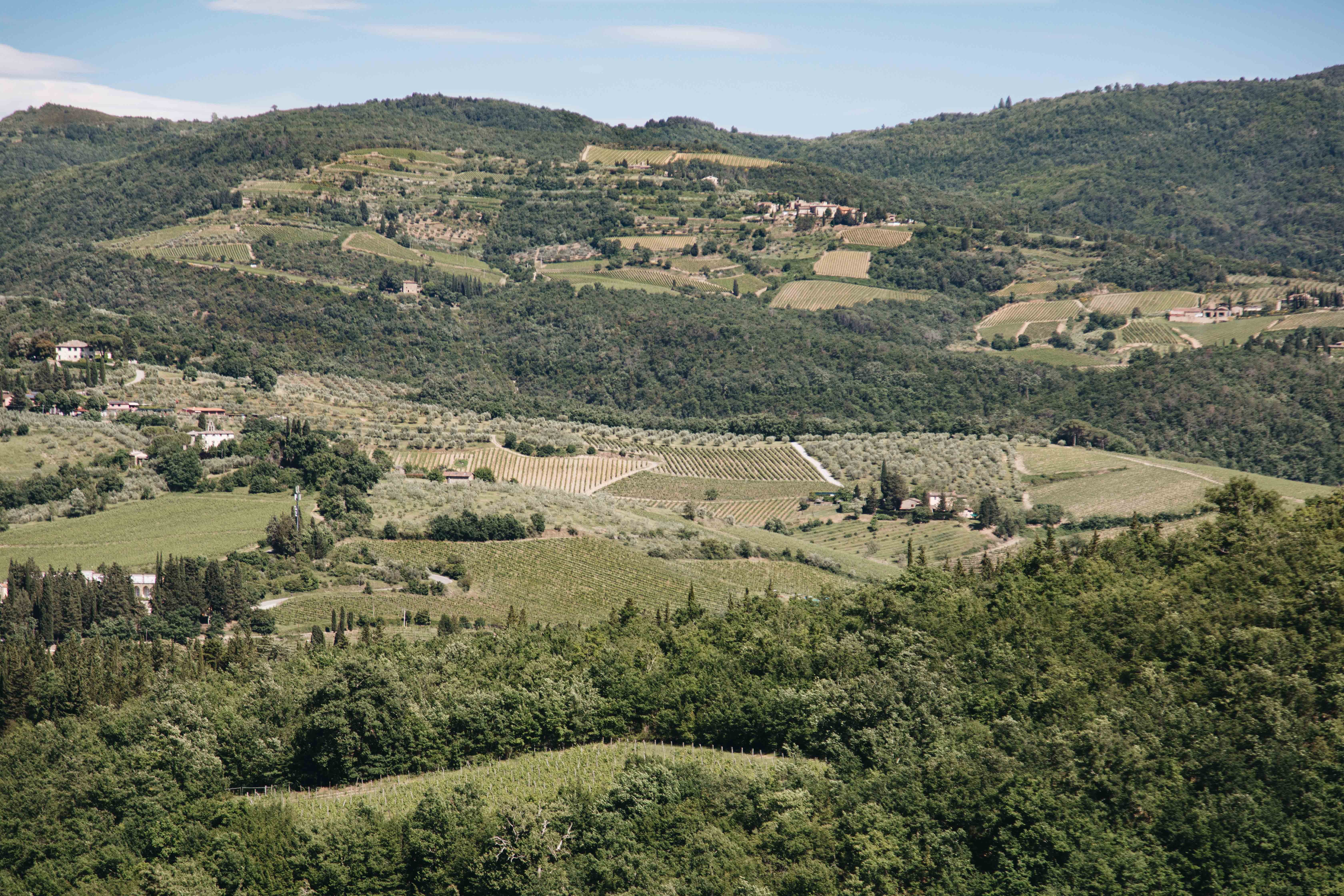 Stunning Hillside Photo: Quaint Houses & Vineyards