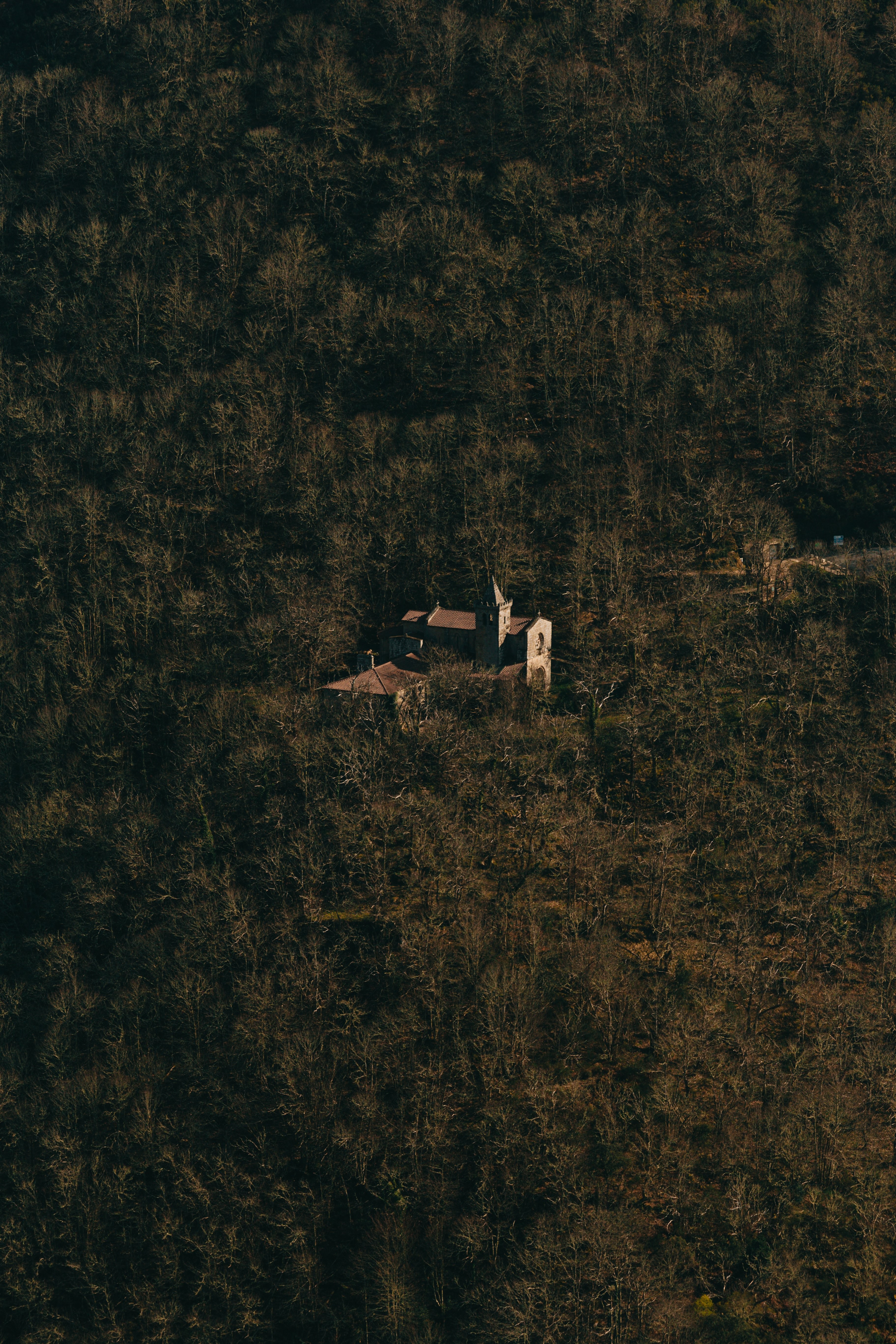 Stunning Aerial Photo of a Building Nestled in a Dense Forest