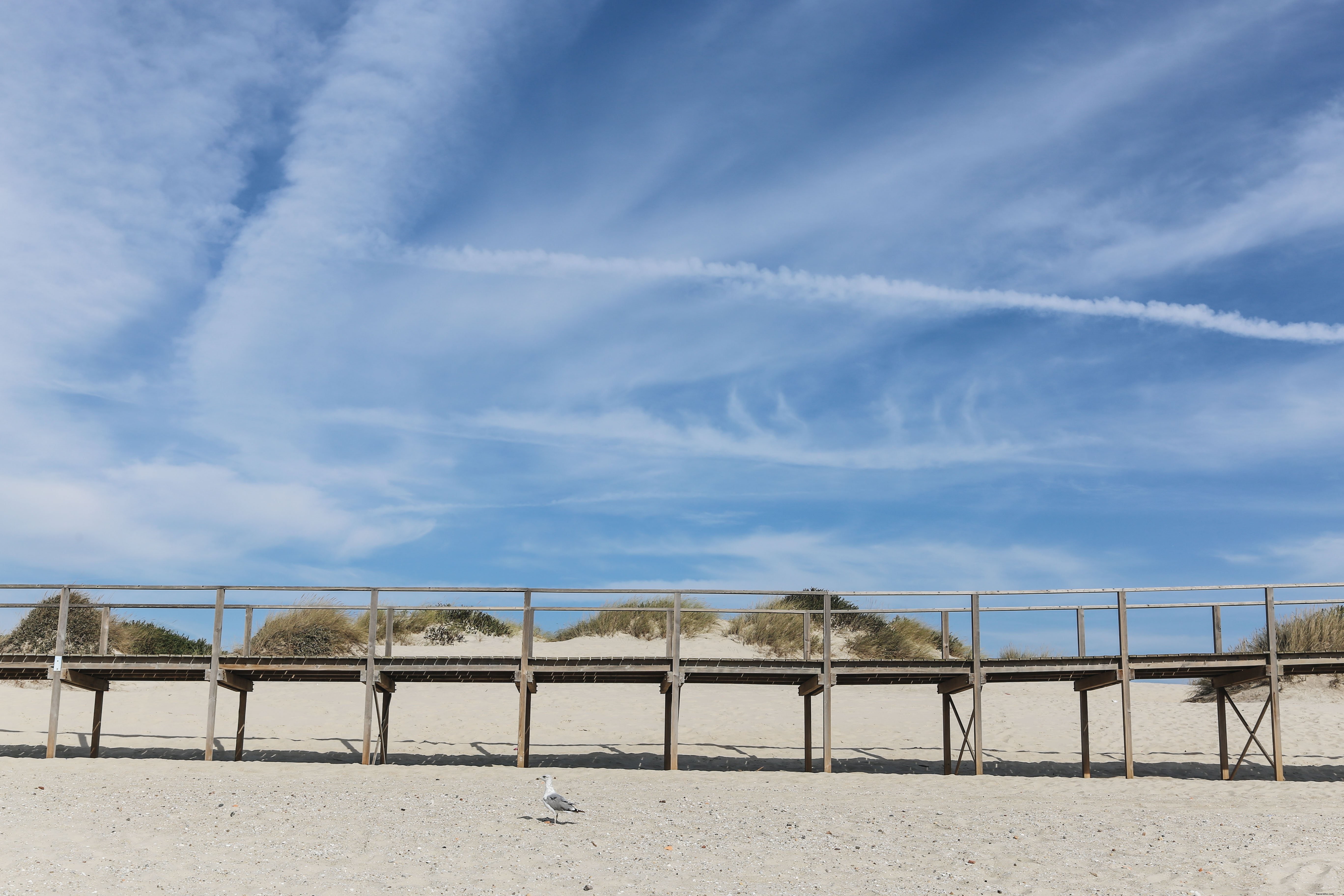 Stunning Wood Walkway Over Sand: A Beautiful Coastal Path Photo